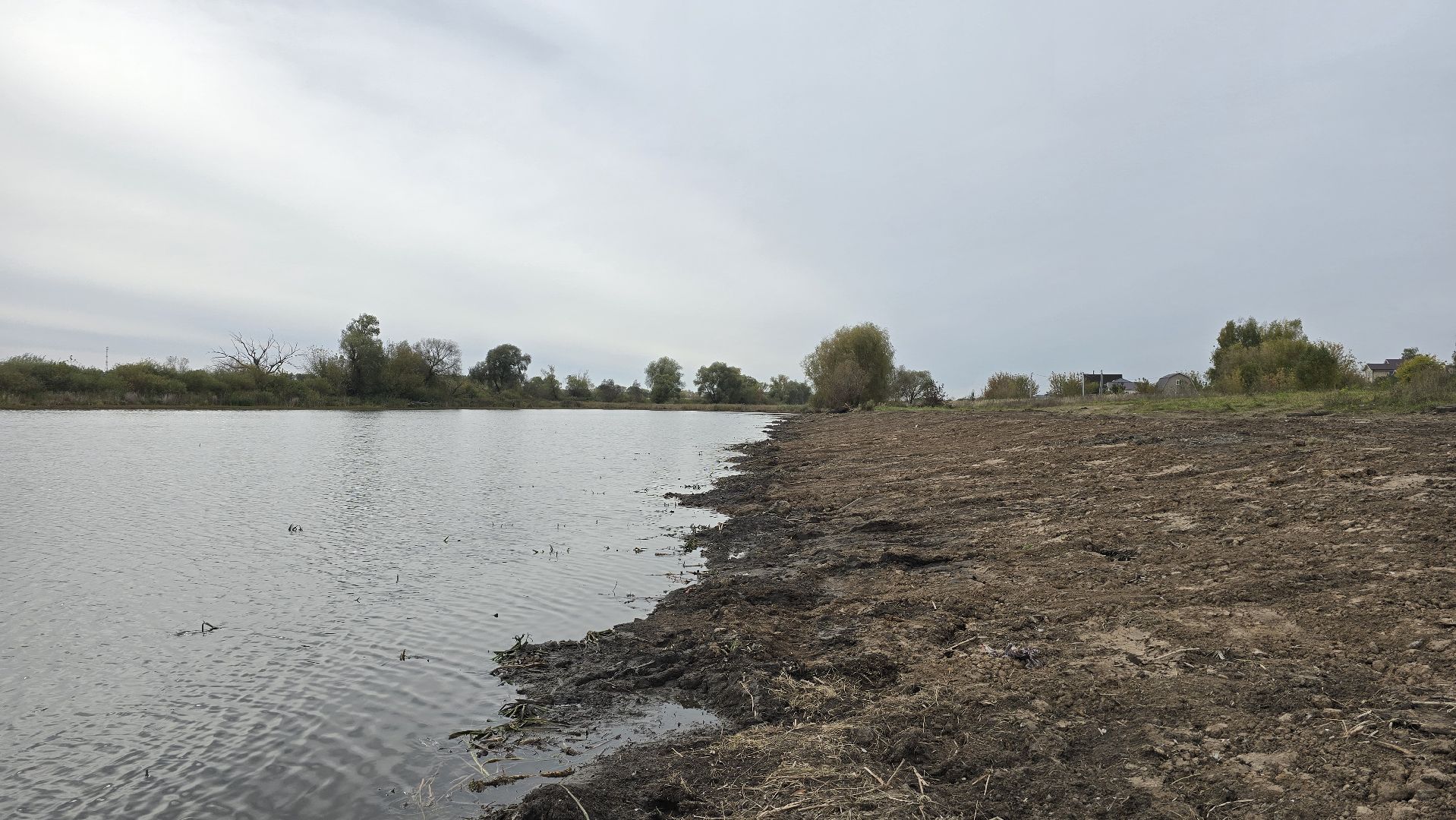 Коломна, очистка водоемов, 100 прудов и озер,