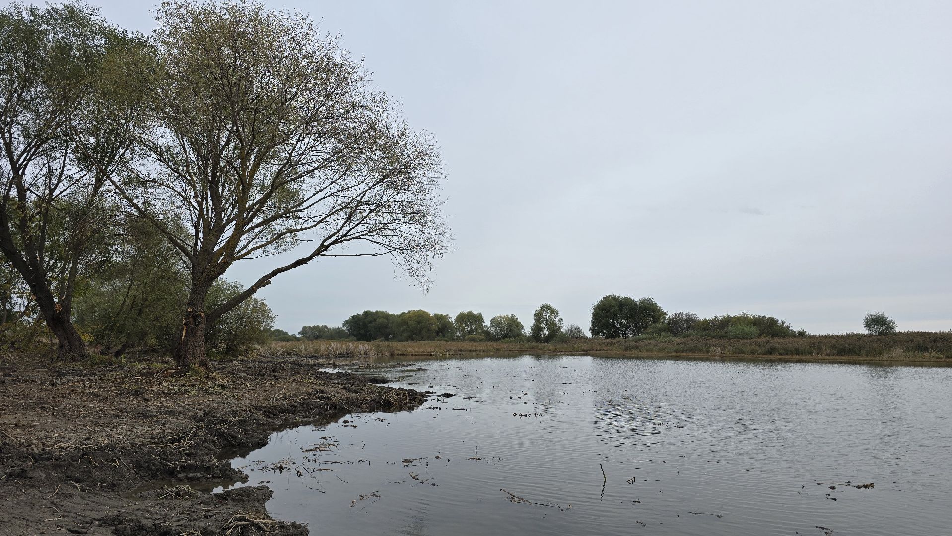 Коломна, очистка водоемов, 100 прудов и озер,