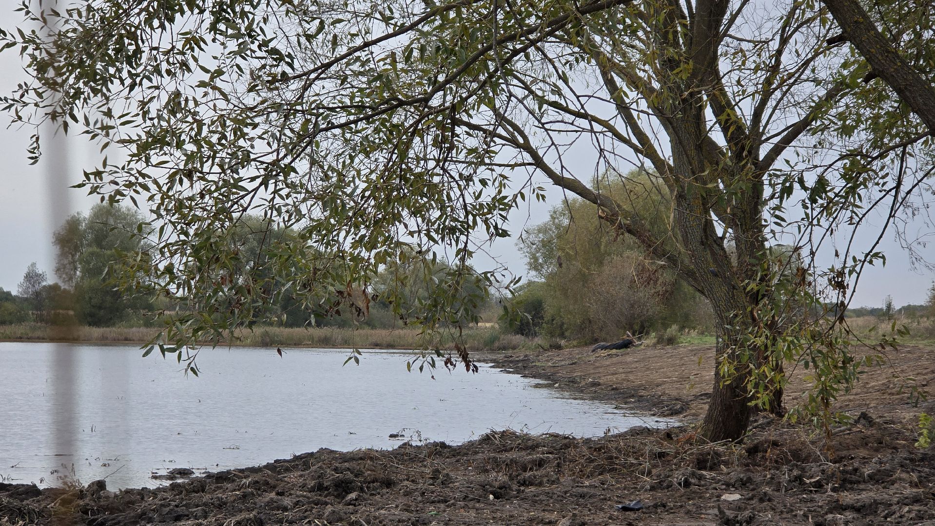 Коломна, очистка водоемов, 100 прудов и озер,