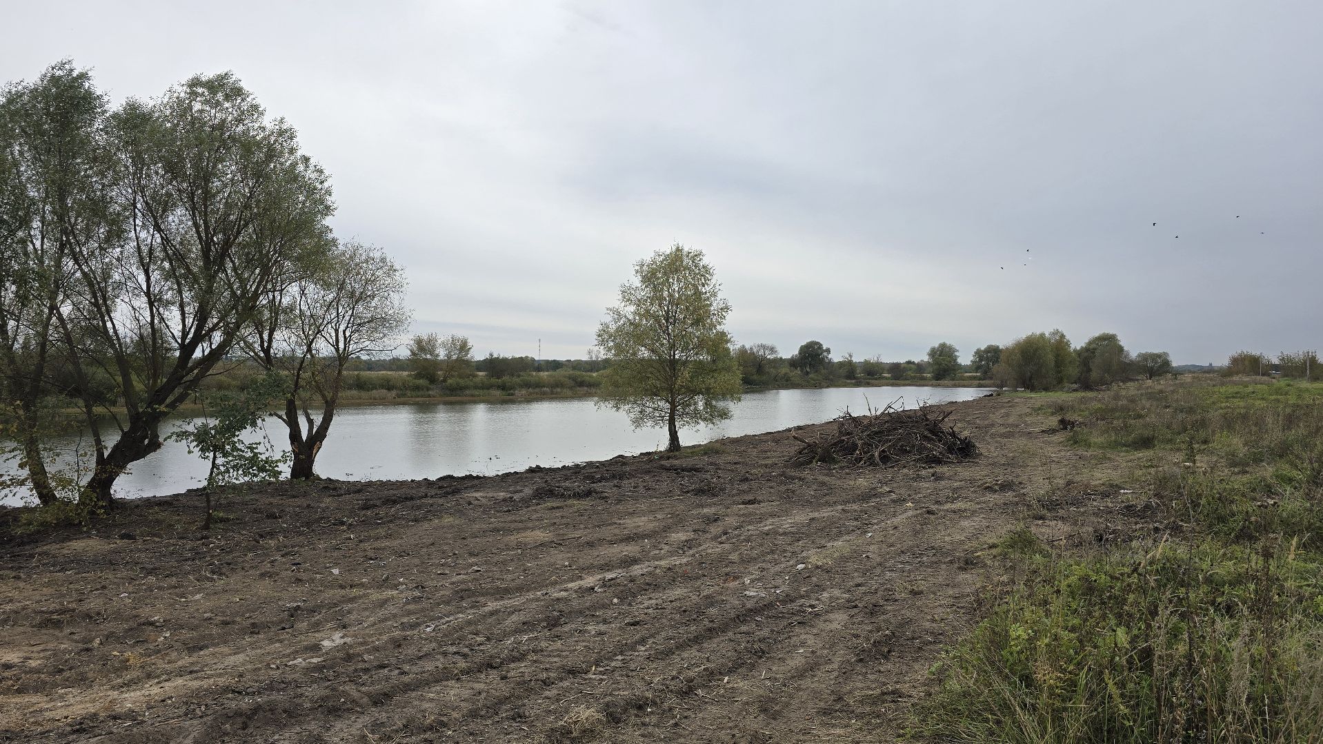 Коломна, очистка водоемов, 100 прудов и озер,