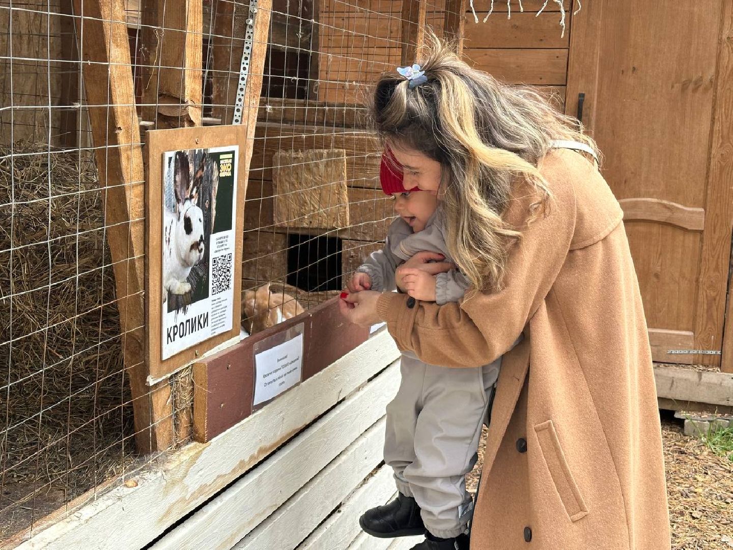 домодедово, эко ферма, парки,