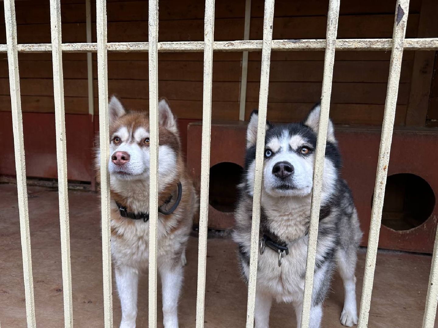 домодедово, эко ферма, парки,