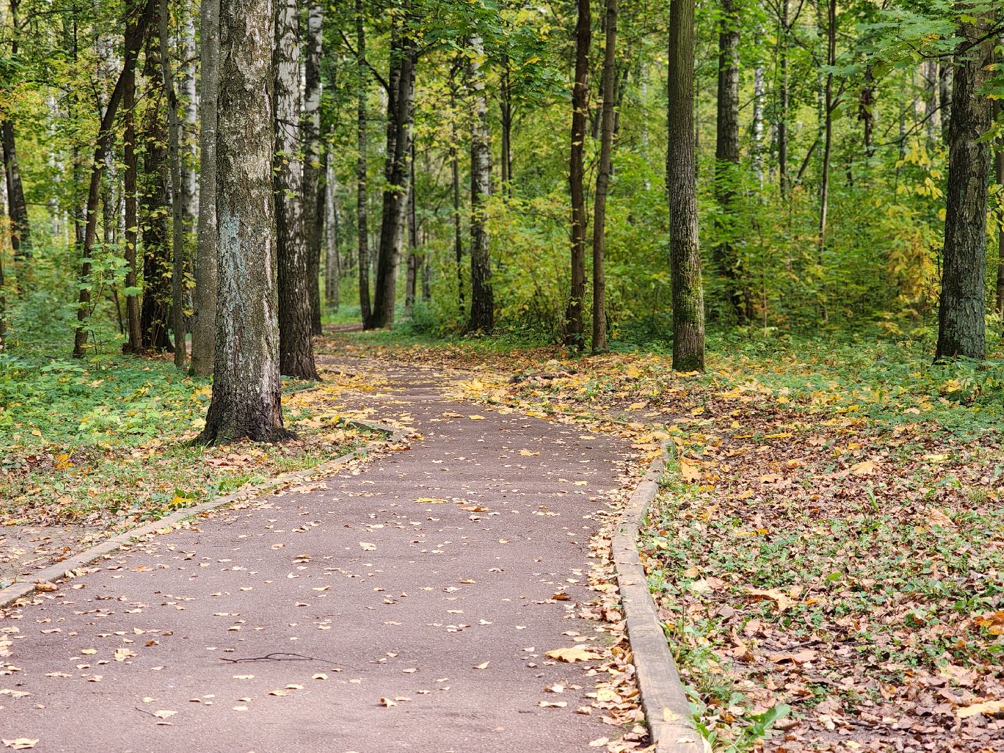топ-5, озеленение, рейтинг самых зеленых городов, ногинск, богородский городский округ,