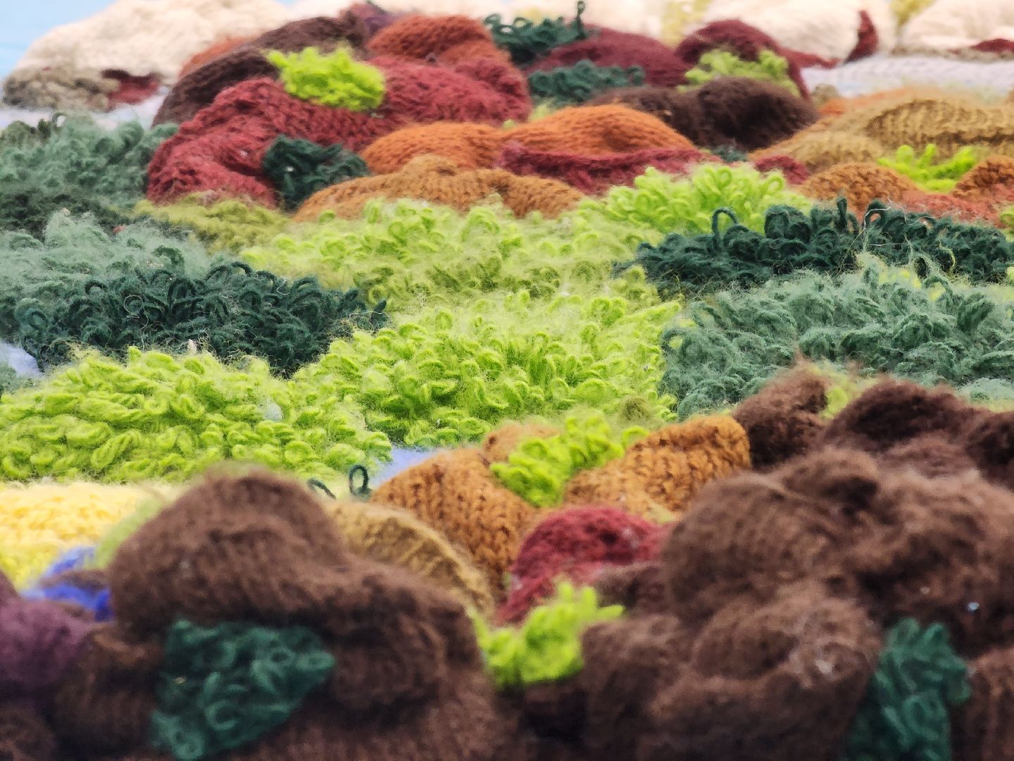 королёв, активное долголетие, 3D- карта россии , книга рекордов россии,