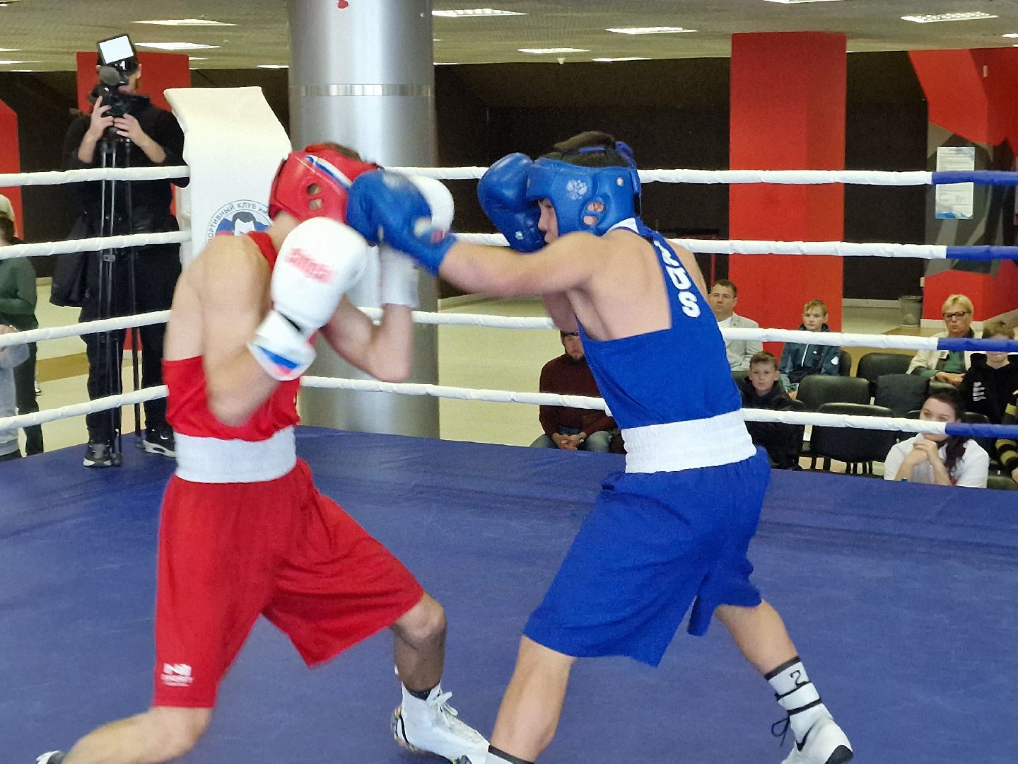 соревнования по боксу посвященные ветеранам боевых действий прошли в балашихе, балашиха,  александр головашкин,