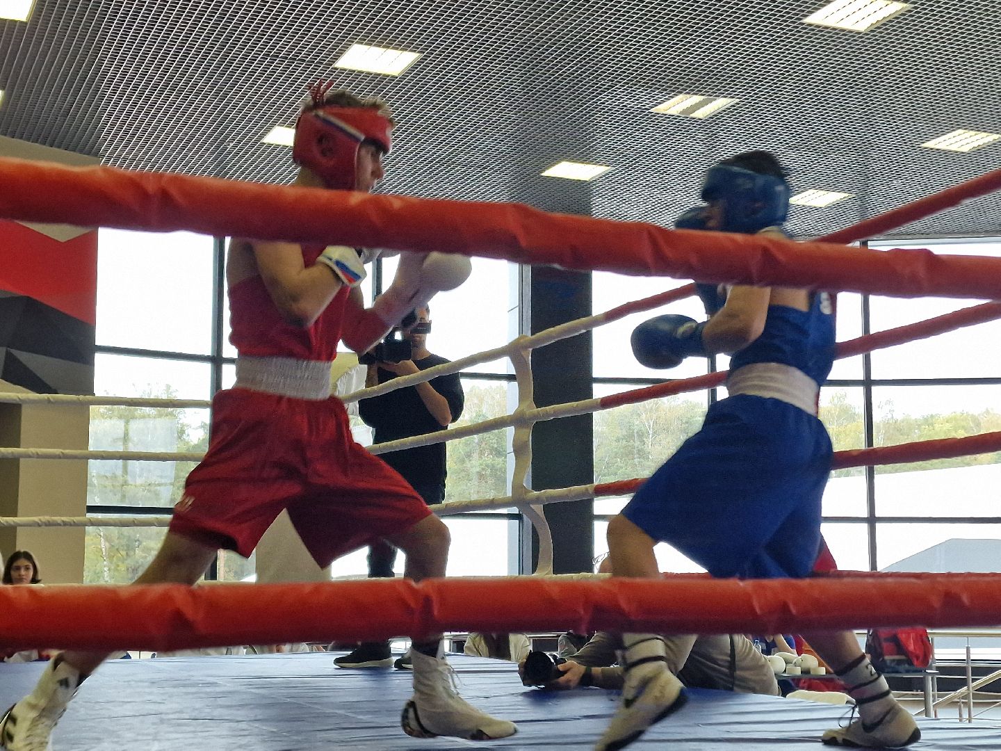 соревнования по боксу посвященные ветеранам боевых действий прошли в балашихе, балашиха,  александр головашкин,