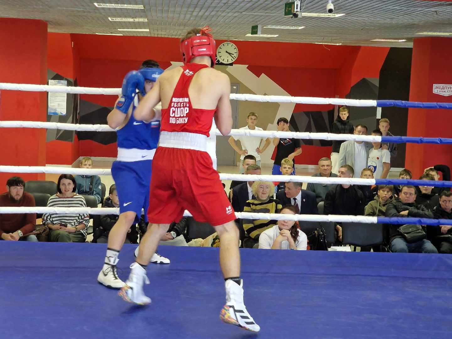 соревнования по боксу посвященные ветеранам боевых действий прошли в балашихе, балашиха,  александр головашкин,