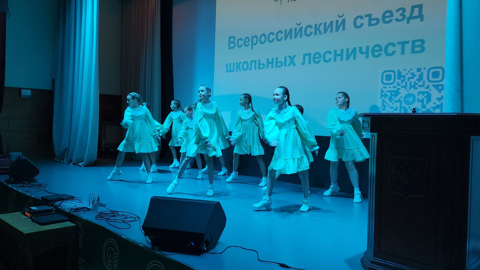 пушкино, съезд, лесное хозяйство, школьные лесничества, лесник, лесничество, экологический активизм, всероссийский проект,школьники, лесовосстановление,