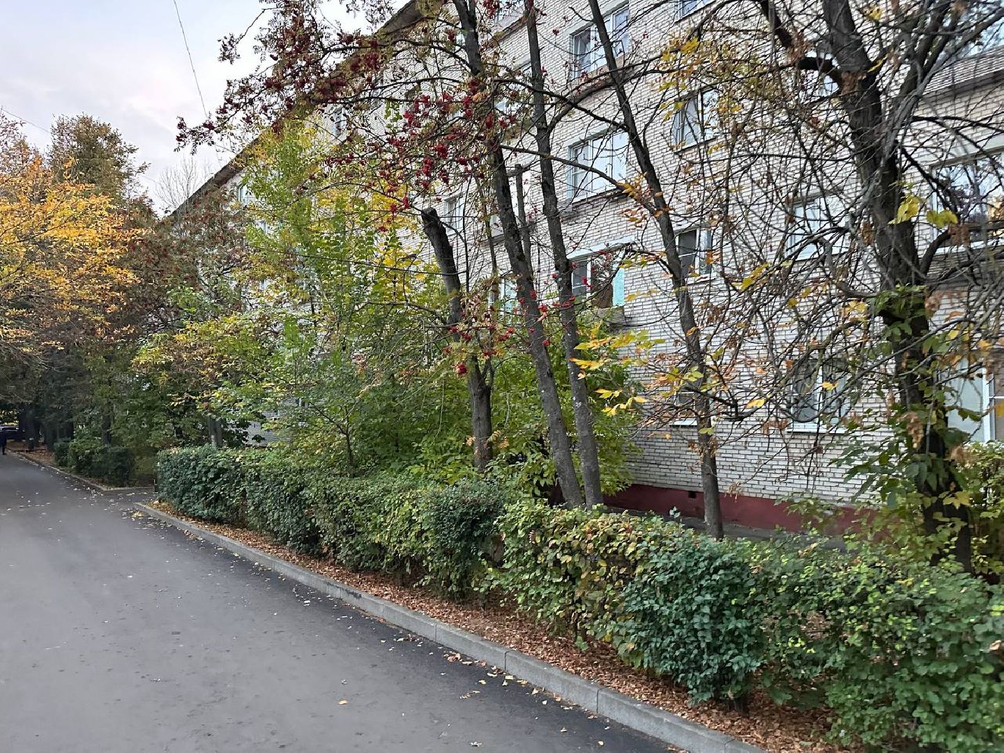 власть, выездная администрация, домодедово,