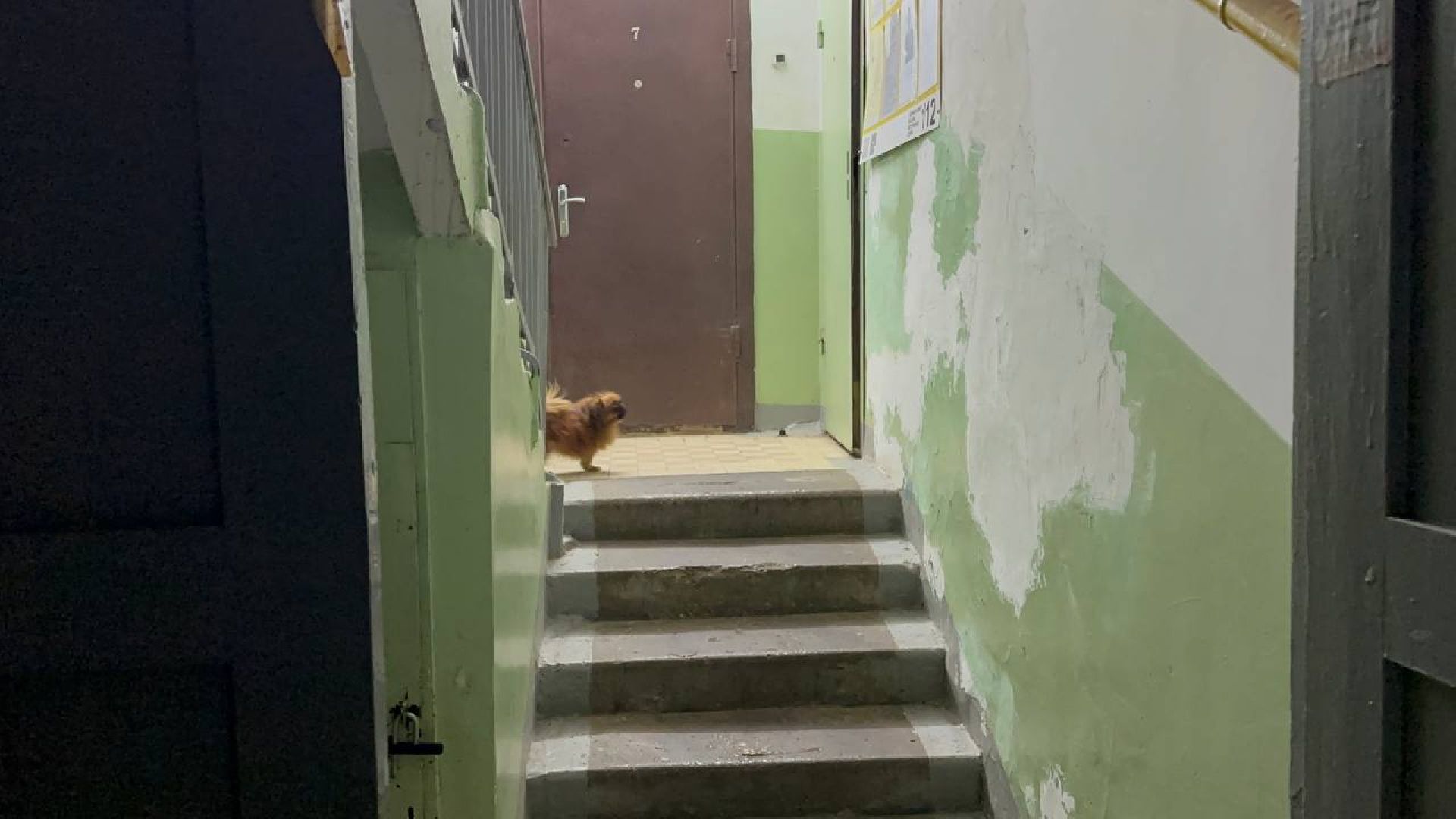 власть, выездная администрация, домодедово,