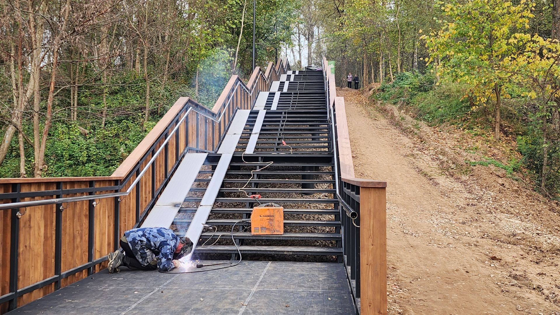 истра, благоустройство, лесопарк,