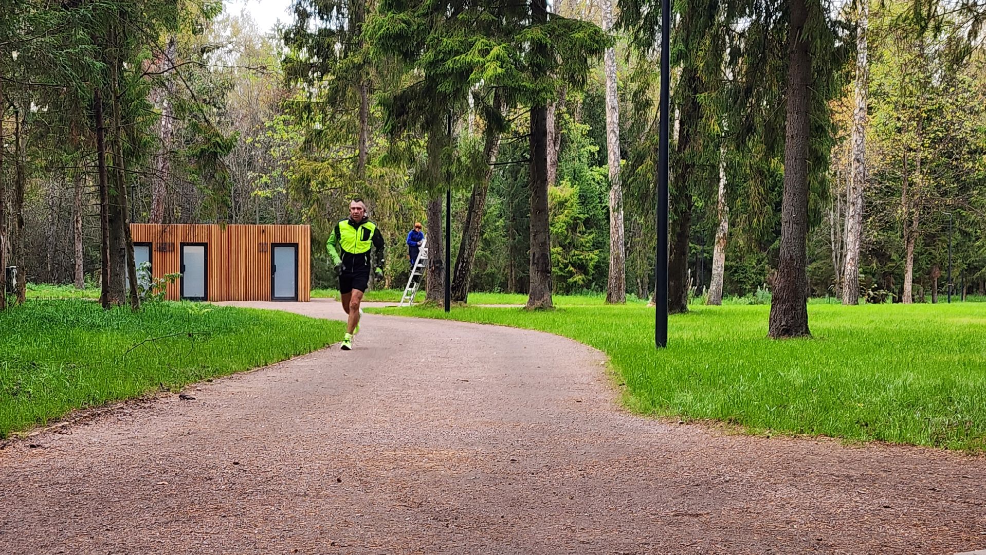 истра, благоустройство, лесопарк,