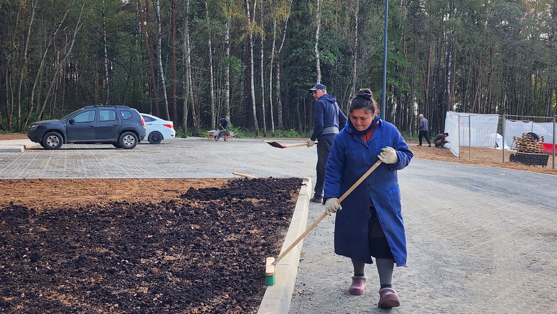 истра, благоустройство, лесопарк,