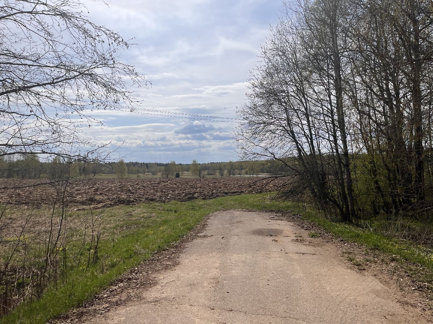 Шаховская, сельхоз, земля