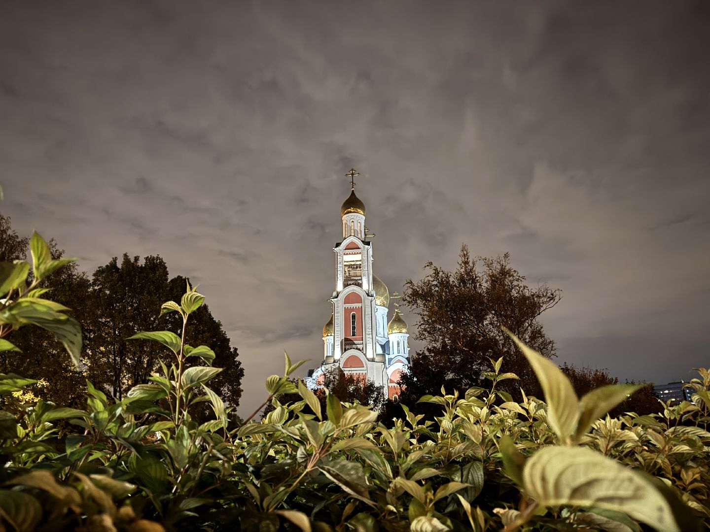 Мощи святителя Тихона, Патриарх Московский и всея Руси, Георгиевский кафедральный собор,