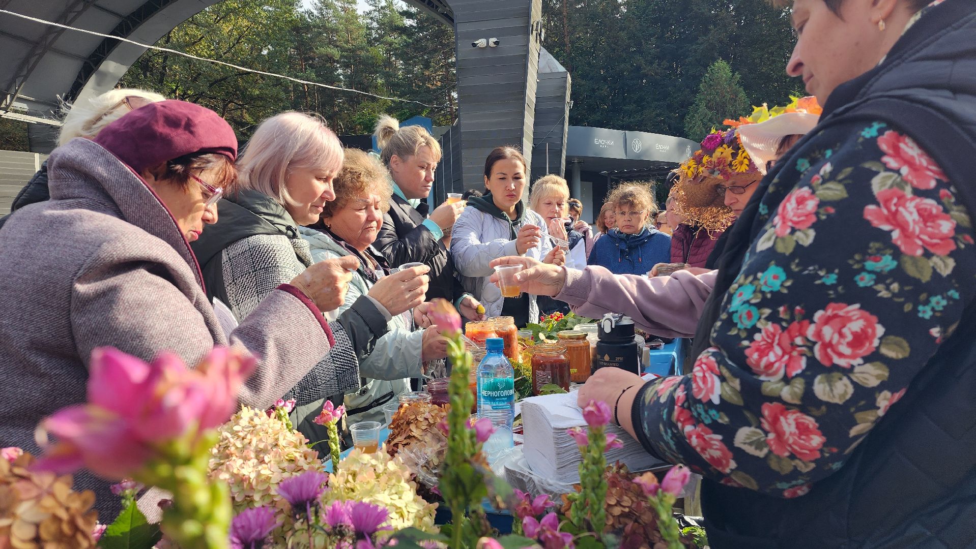 парк елочки, домодедово, осень, парки, ярмарка, фестиваль, конкурс,