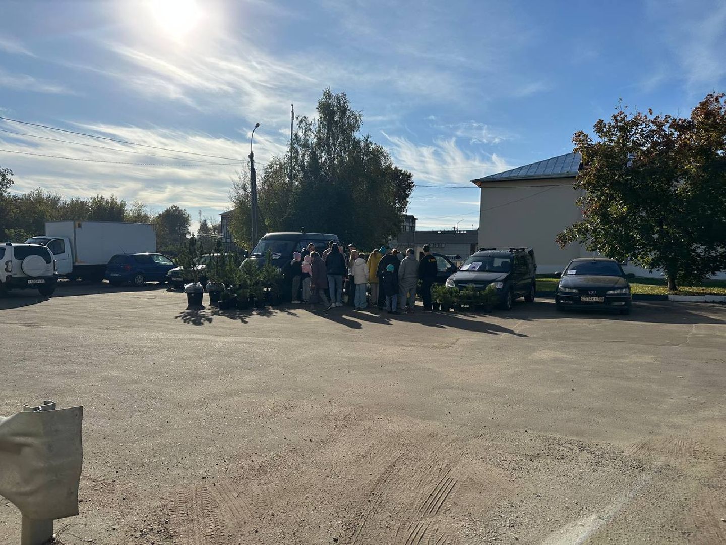 благотворительная акция, домодедово, деревья,