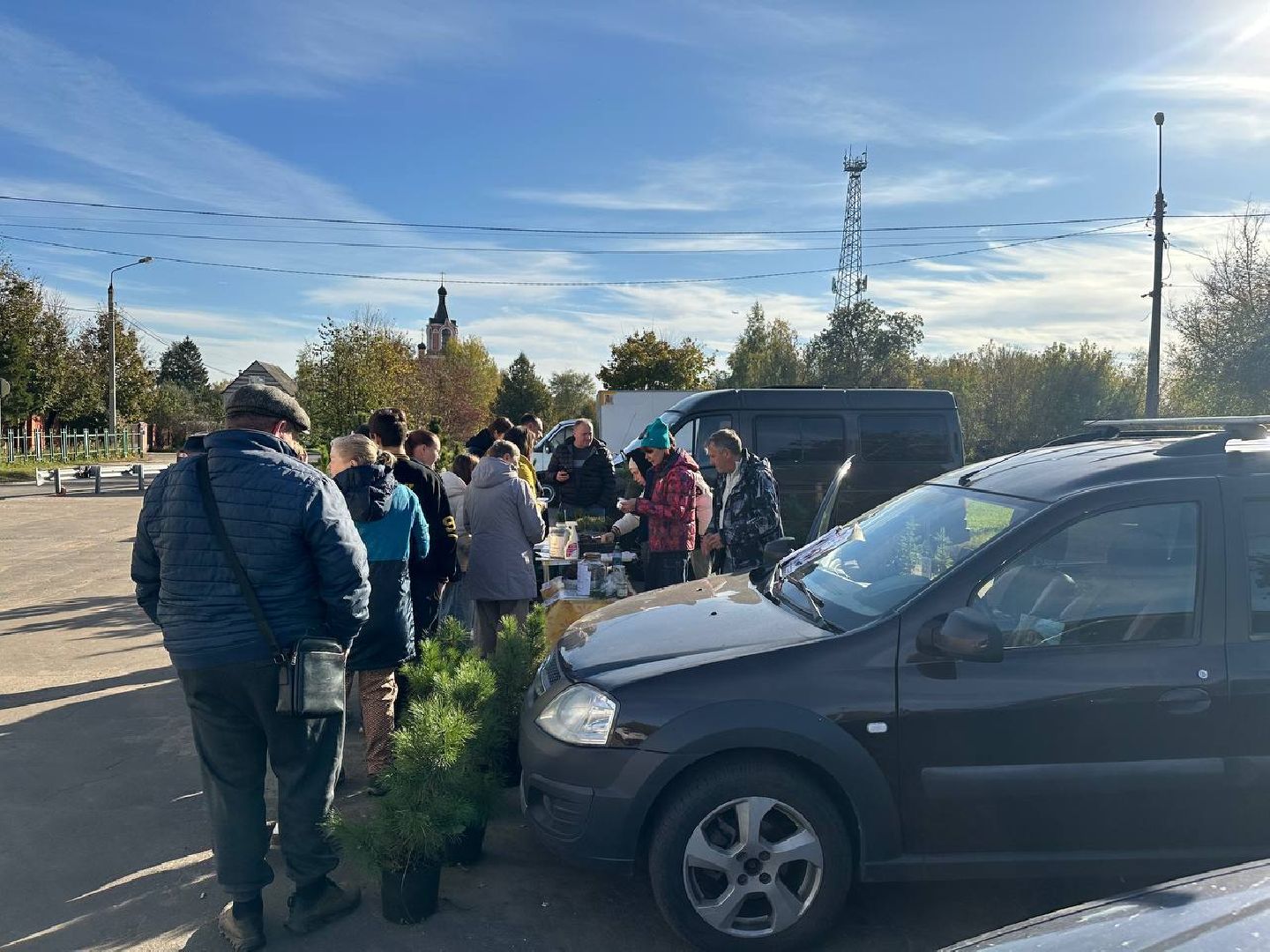 благотворительная акция, домодедово, деревья,