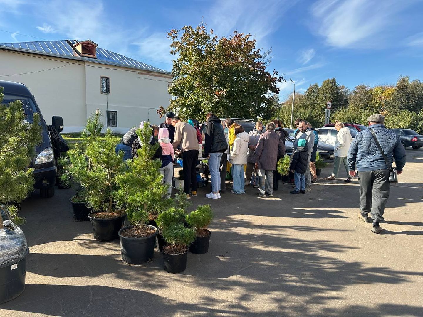 благотворительная акция, домодедово, деревья,