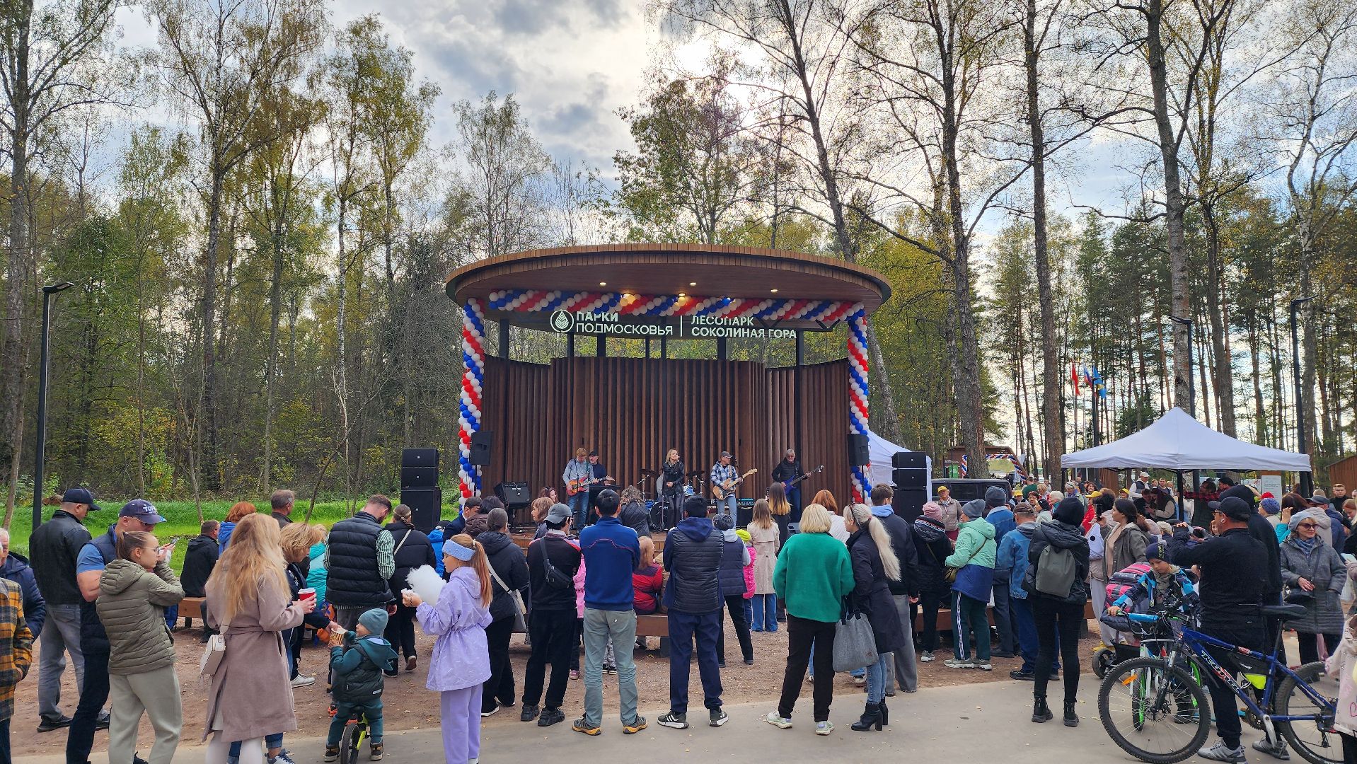 истра, лесопарк, благоустройство,