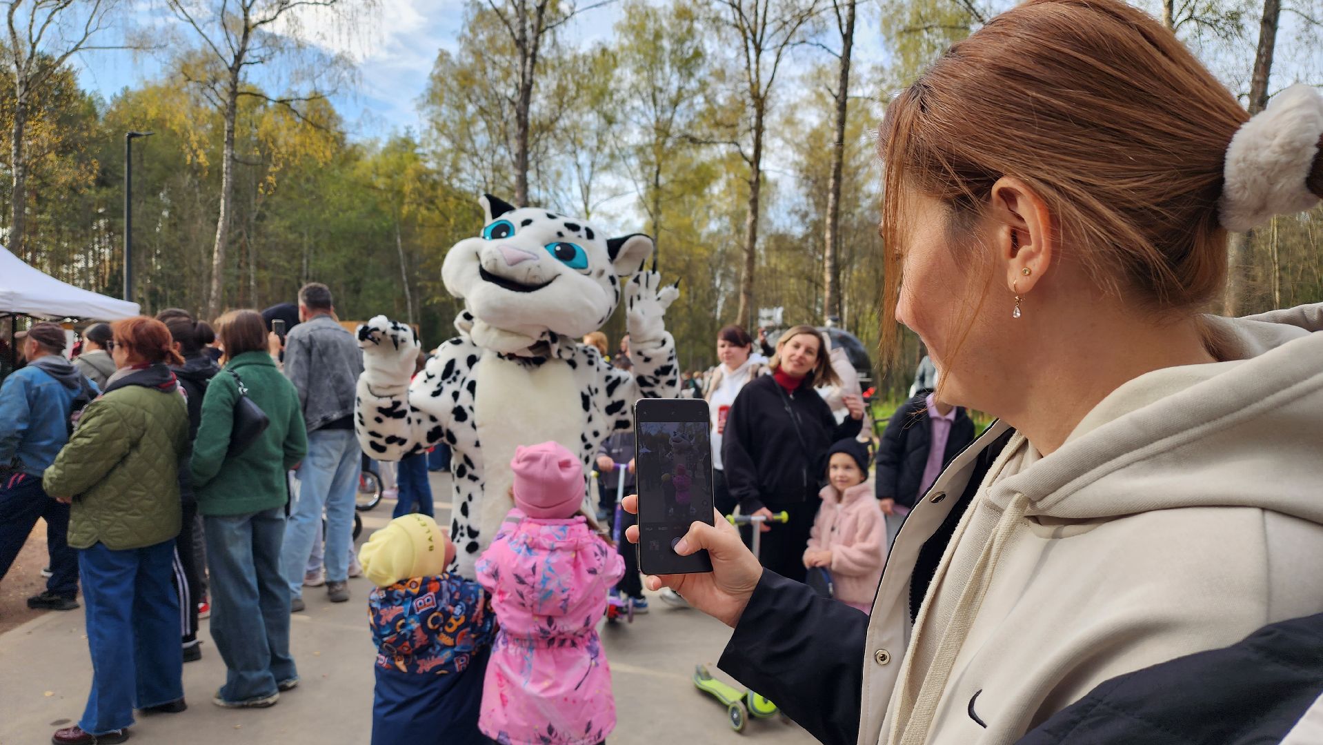 истра, лесопарк, благоустройство,