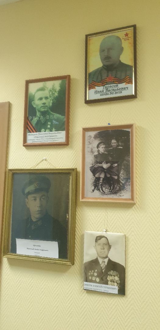 9 мая, выставка, бессмертный полк, Долгопрудный