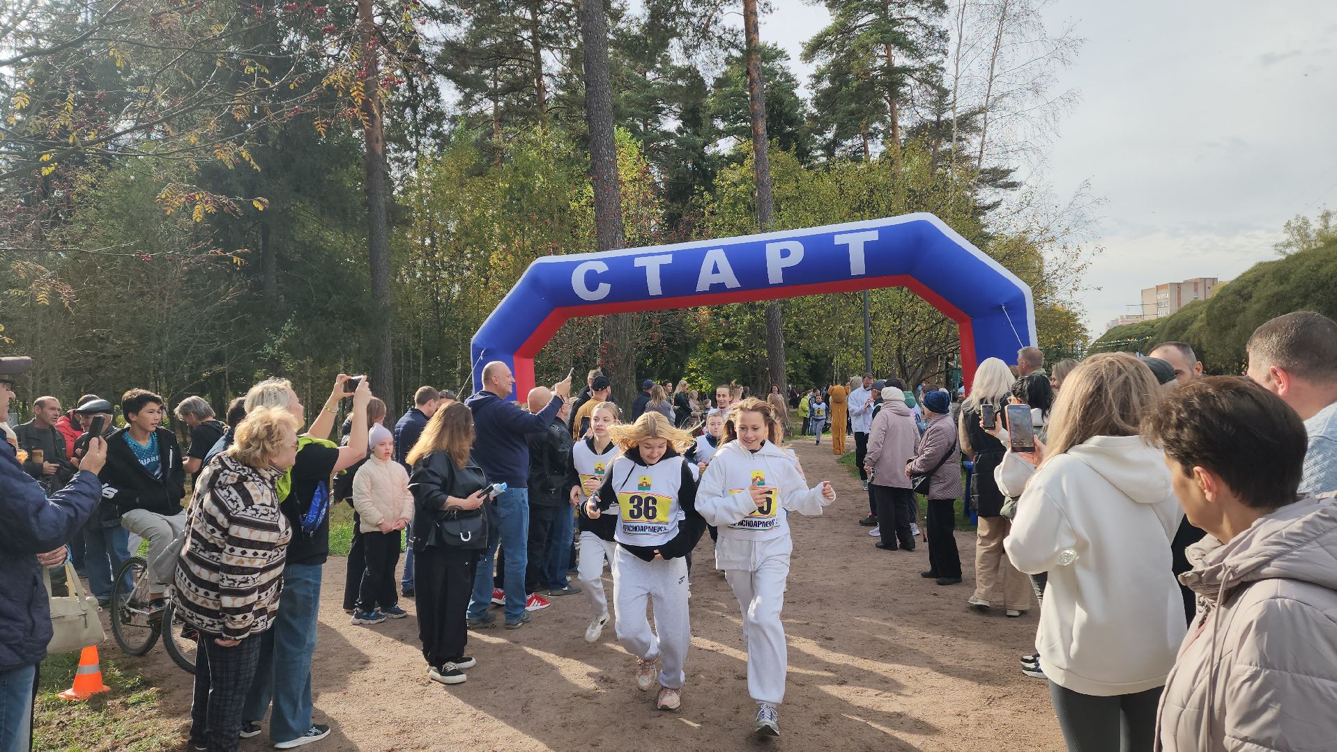 красноармейск, городской округ пушкинский, банный лес, спортивный забег,