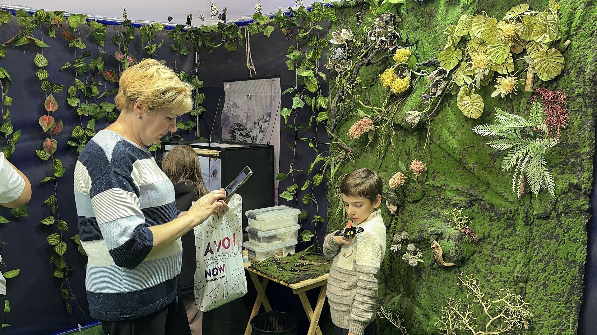 рептилии, бабочки, досуг, выставка ,