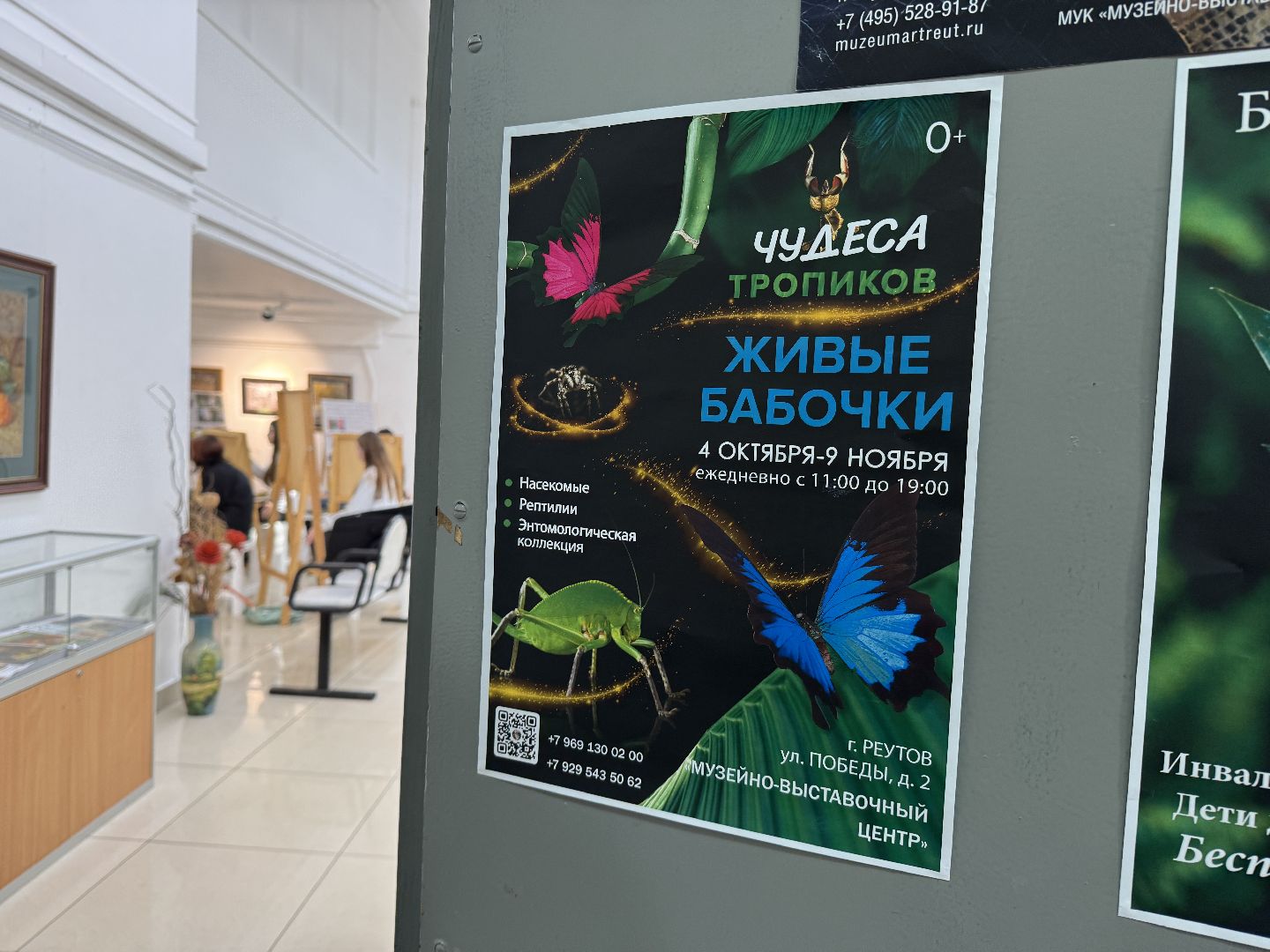 рептилии, бабочки, досуг, выставка ,