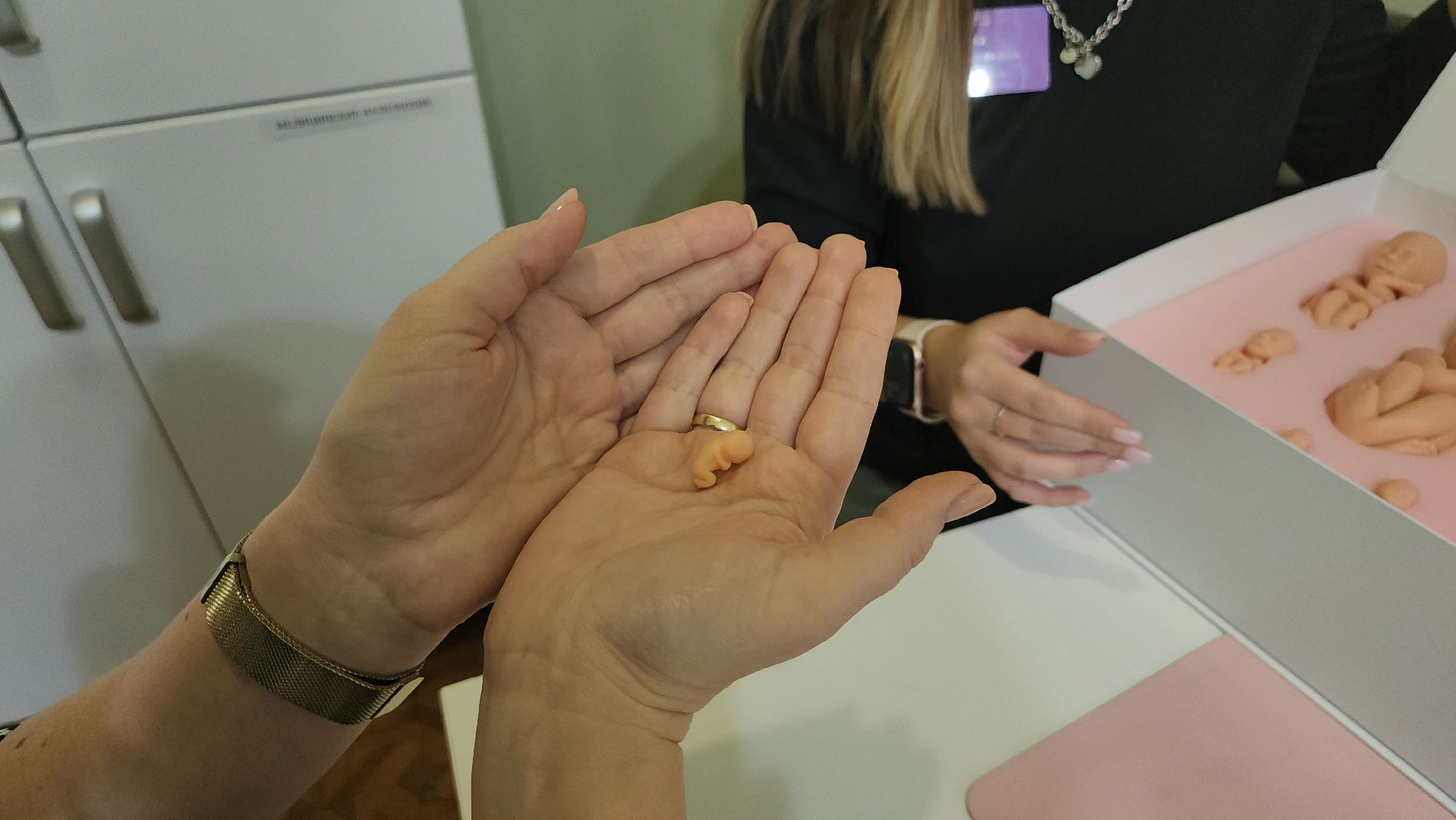 Люберцы, люберецкая больница, комплект эмбрионов, профилактика абортов, женская консультация,