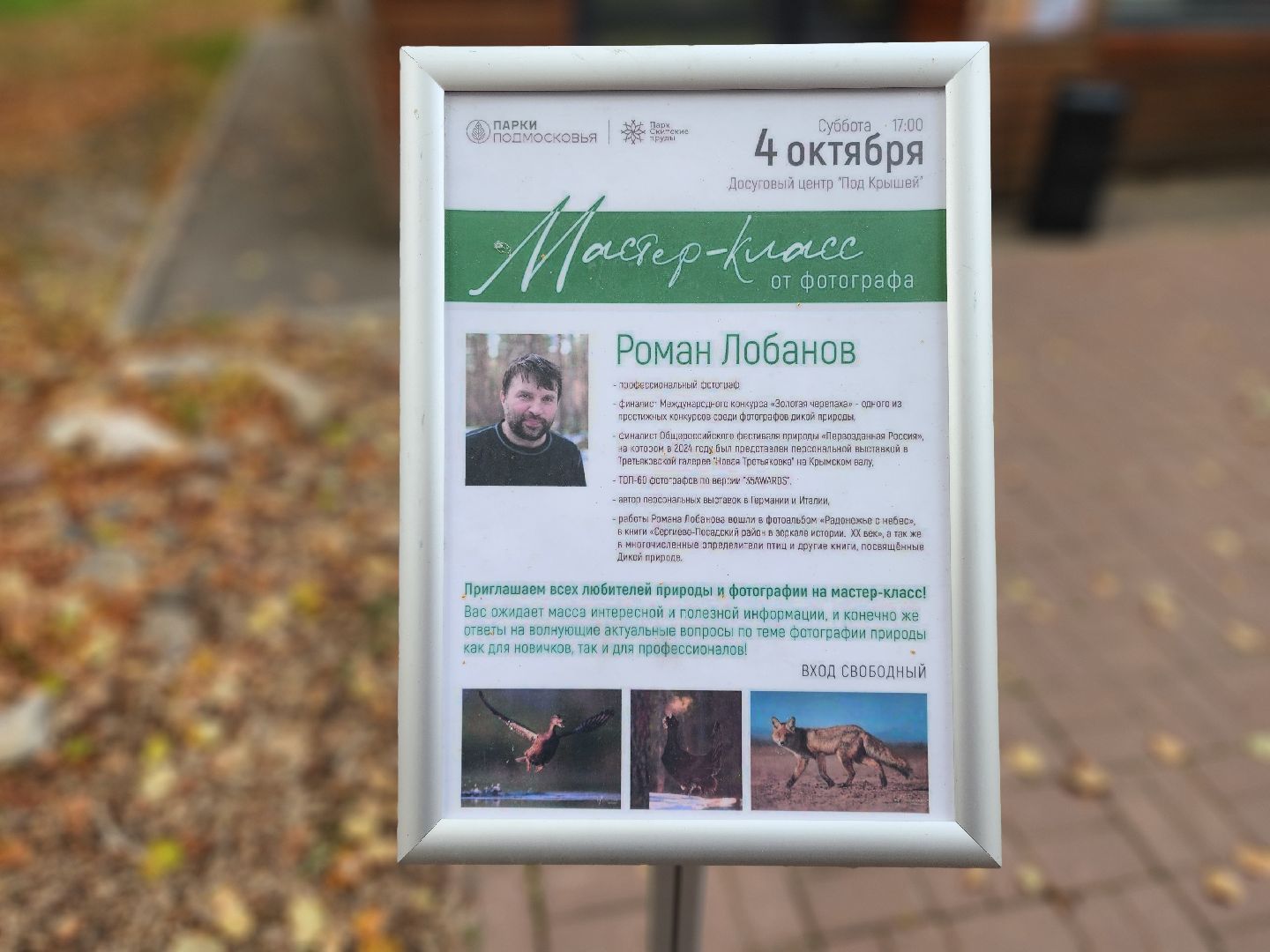 сергиев посад, сергиево-посадский городской округ, роман лобанов, фотограф-анималист, фотограф-натуралист, первозданная россия, фото журавлей, совы, сайгаки, золотая черепаха,