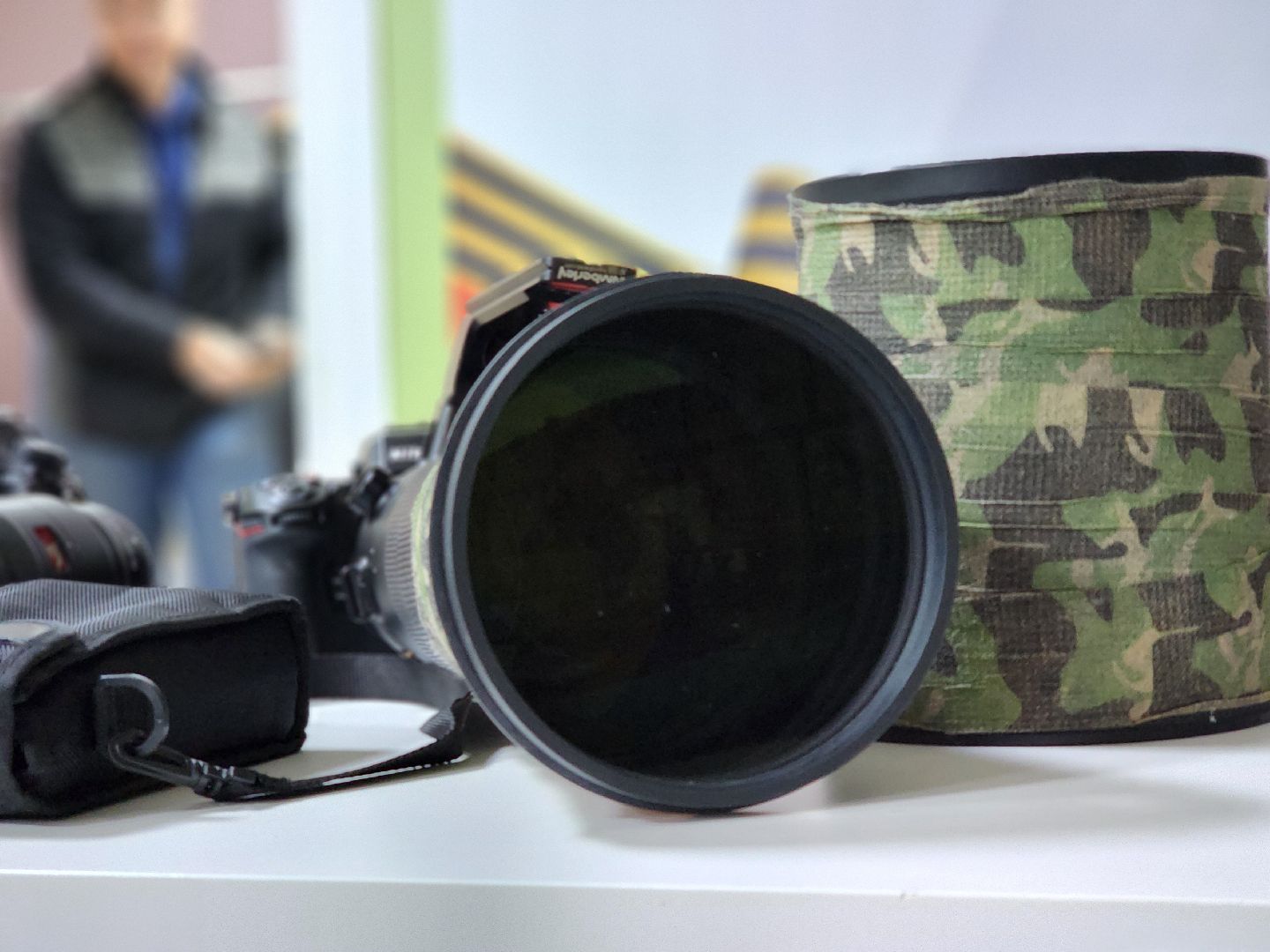 сергиев посад, сергиево-посадский городской округ, роман лобанов, фотограф-анималист, фотограф-натуралист, первозданная россия, фото журавлей, совы, сайгаки, золотая черепаха,