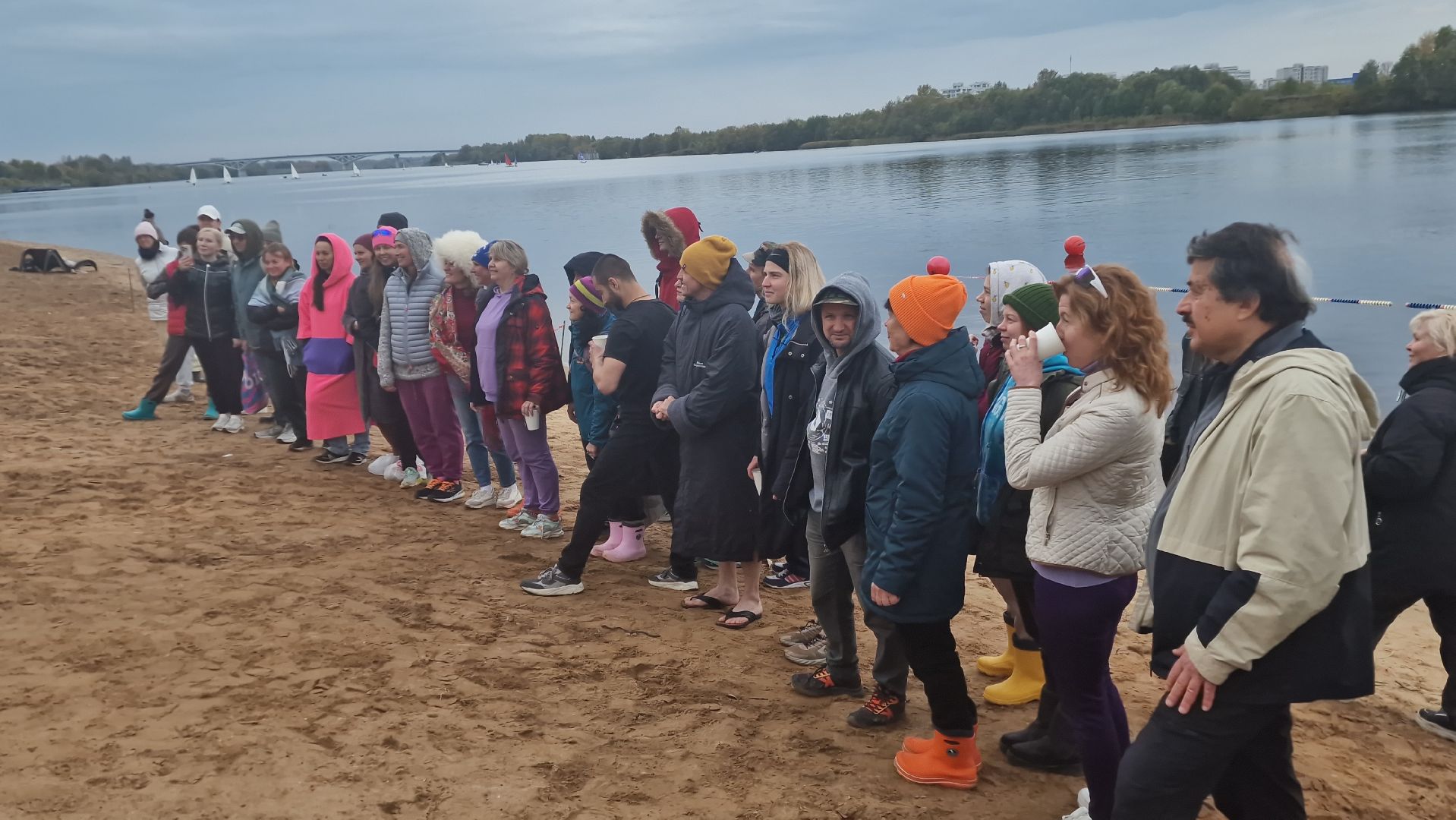 Дубна, Моржи,