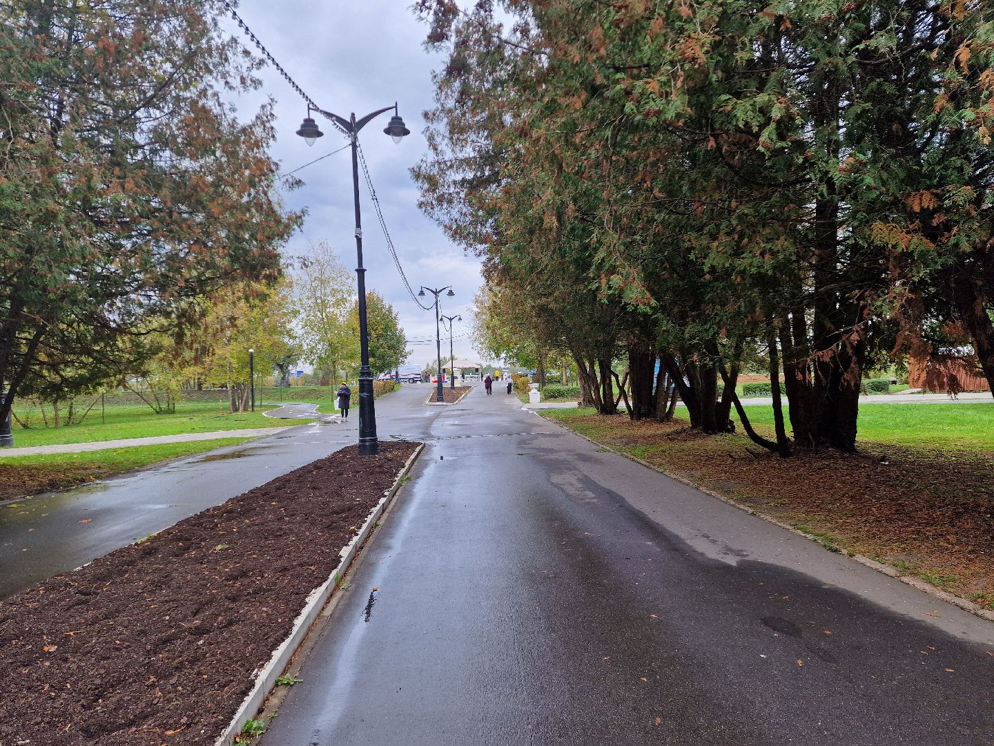 Дубна, Моржи,