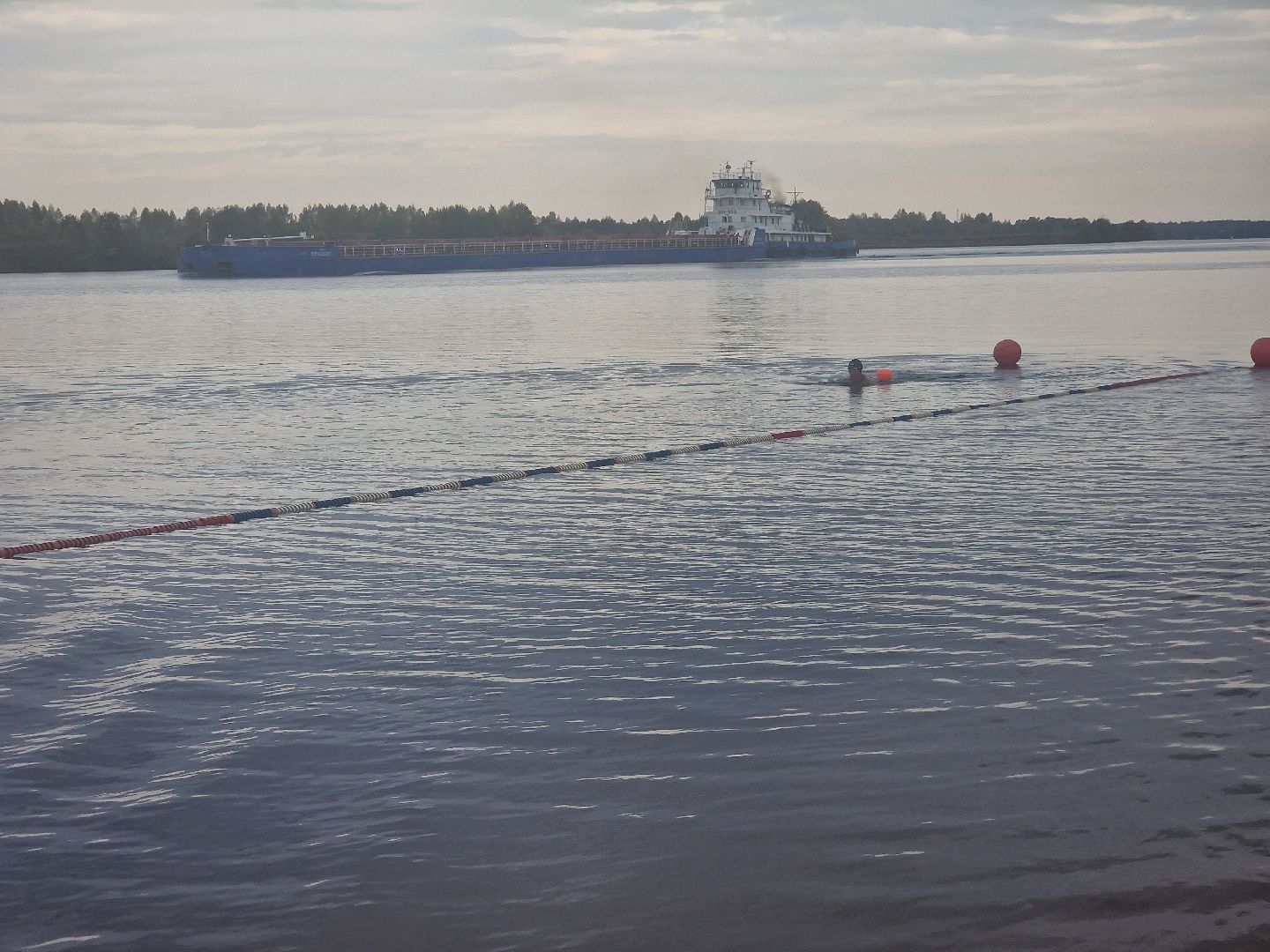 Дубна, Моржи,