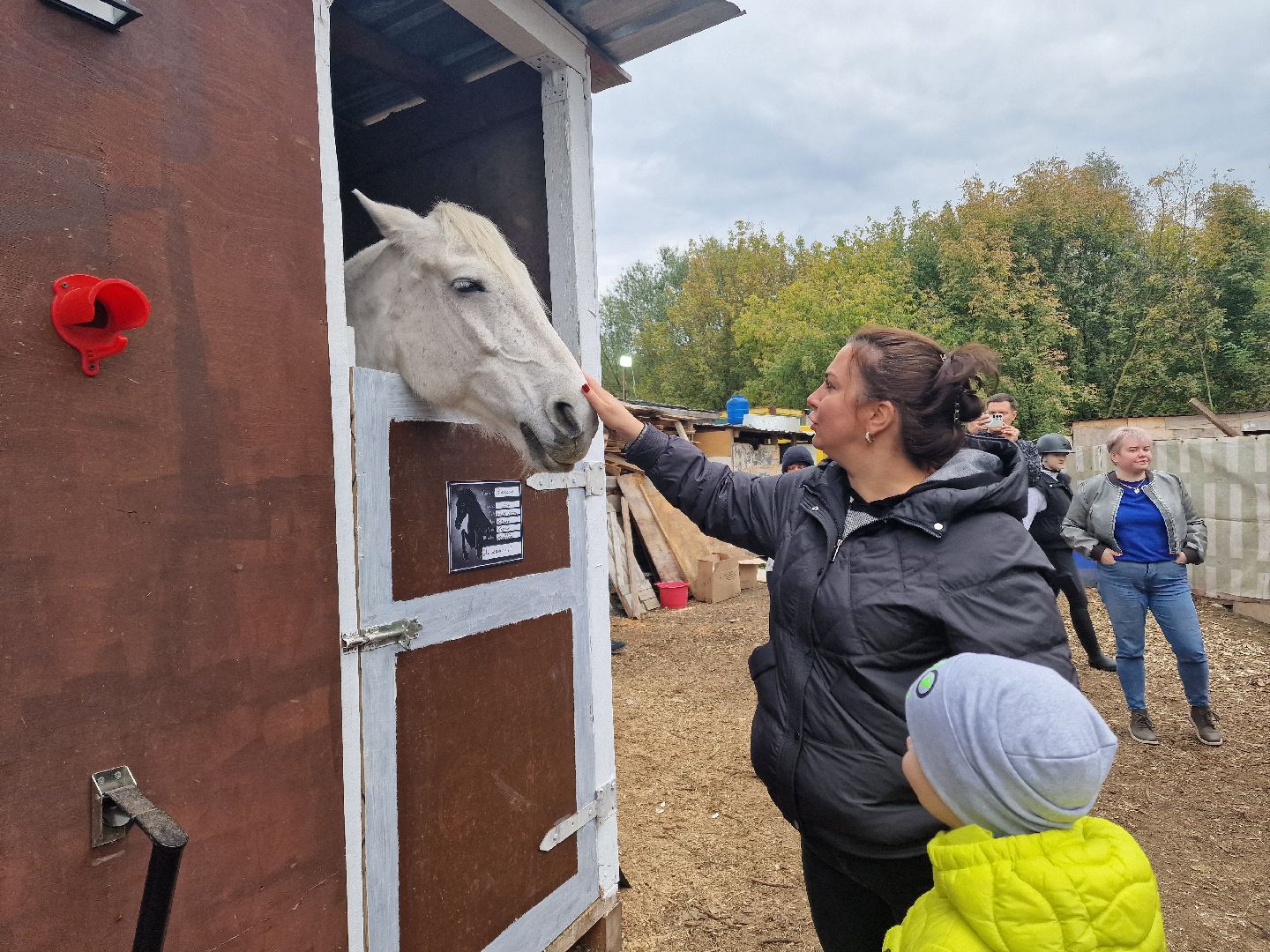 добрые прогулки в Балашихе, конный клуб пелагея в балашихе, помощь семьям участников сво,
