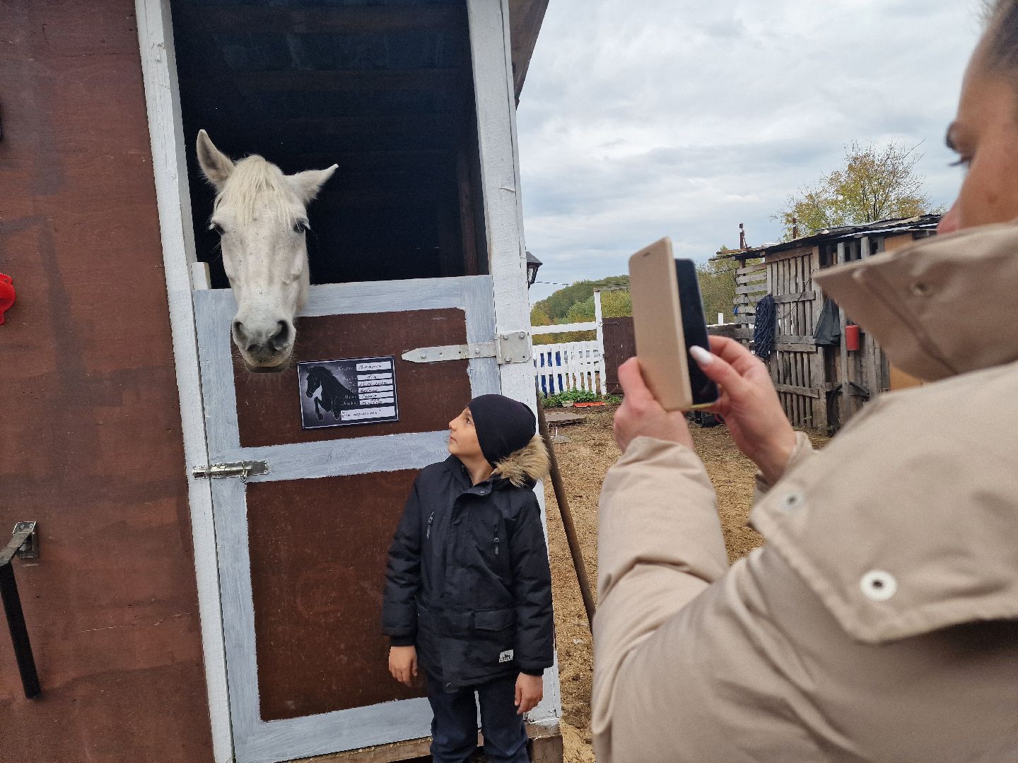 добрые прогулки в Балашихе, конный клуб пелагея в балашихе, помощь семьям участников сво,