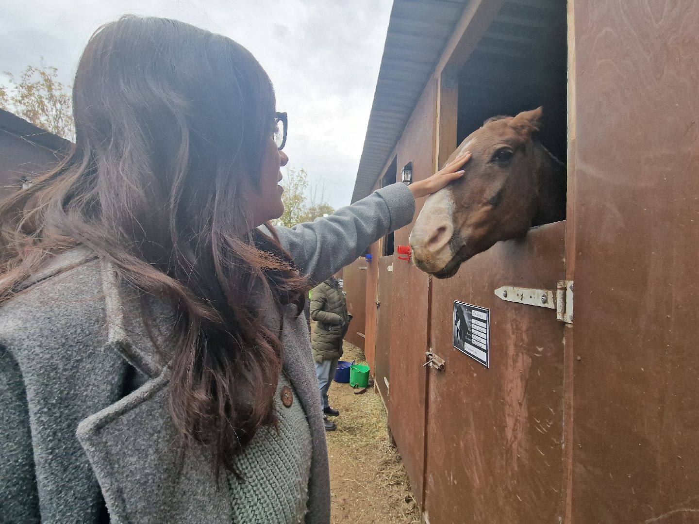 добрые прогулки в Балашихе, конный клуб пелагея в балашихе, помощь семьям участников сво,
