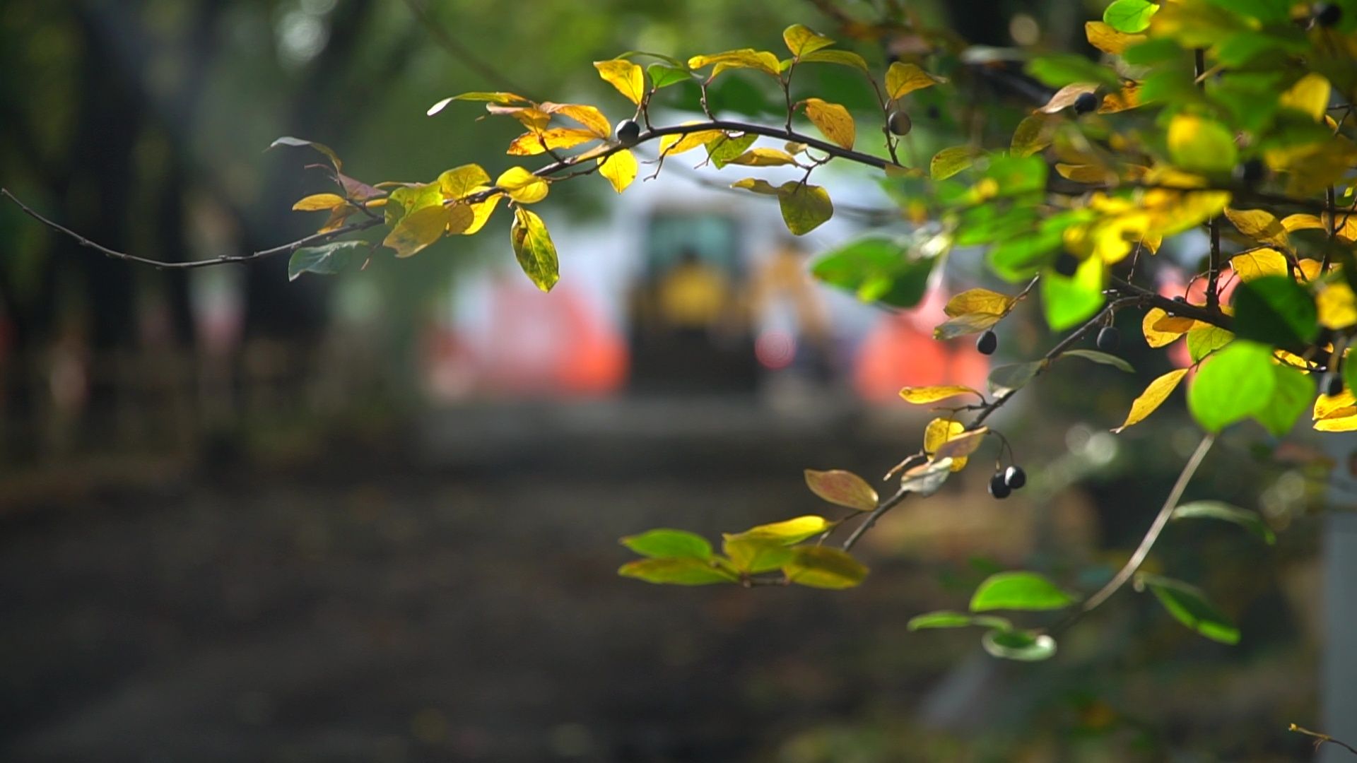 Реутов, благоуствойство, сквер, работы по благоустройству,