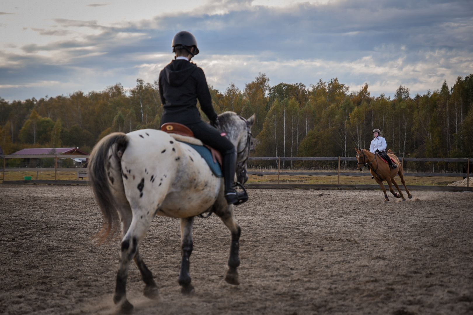 дети, конный клуб салтыково, конные прогулки , катание на лошадях,