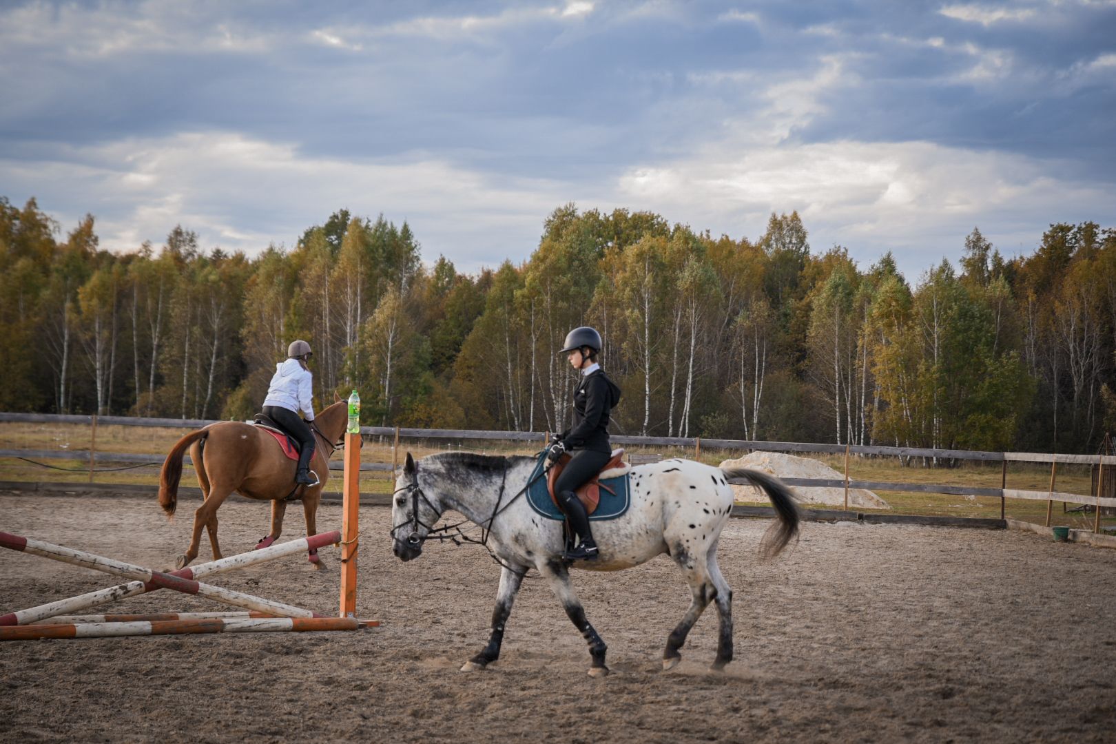 дети, конный клуб салтыково, конные прогулки , катание на лошадях,