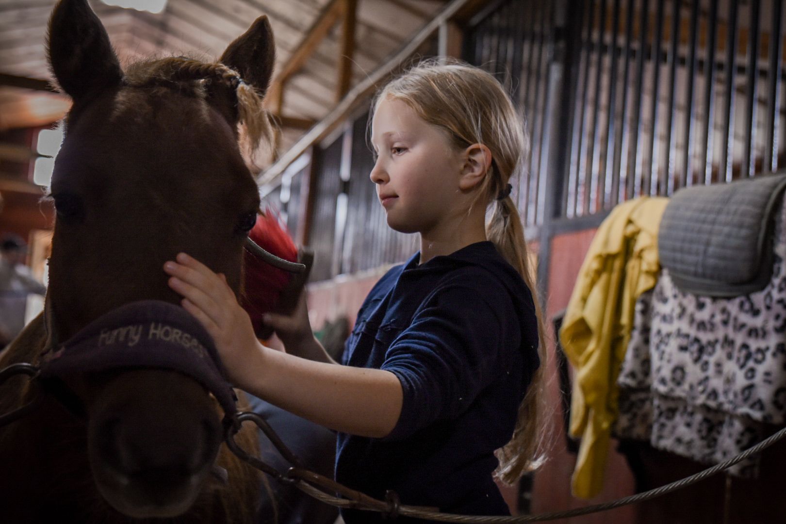 дети, конный клуб салтыково, конные прогулки , катание на лошадях,