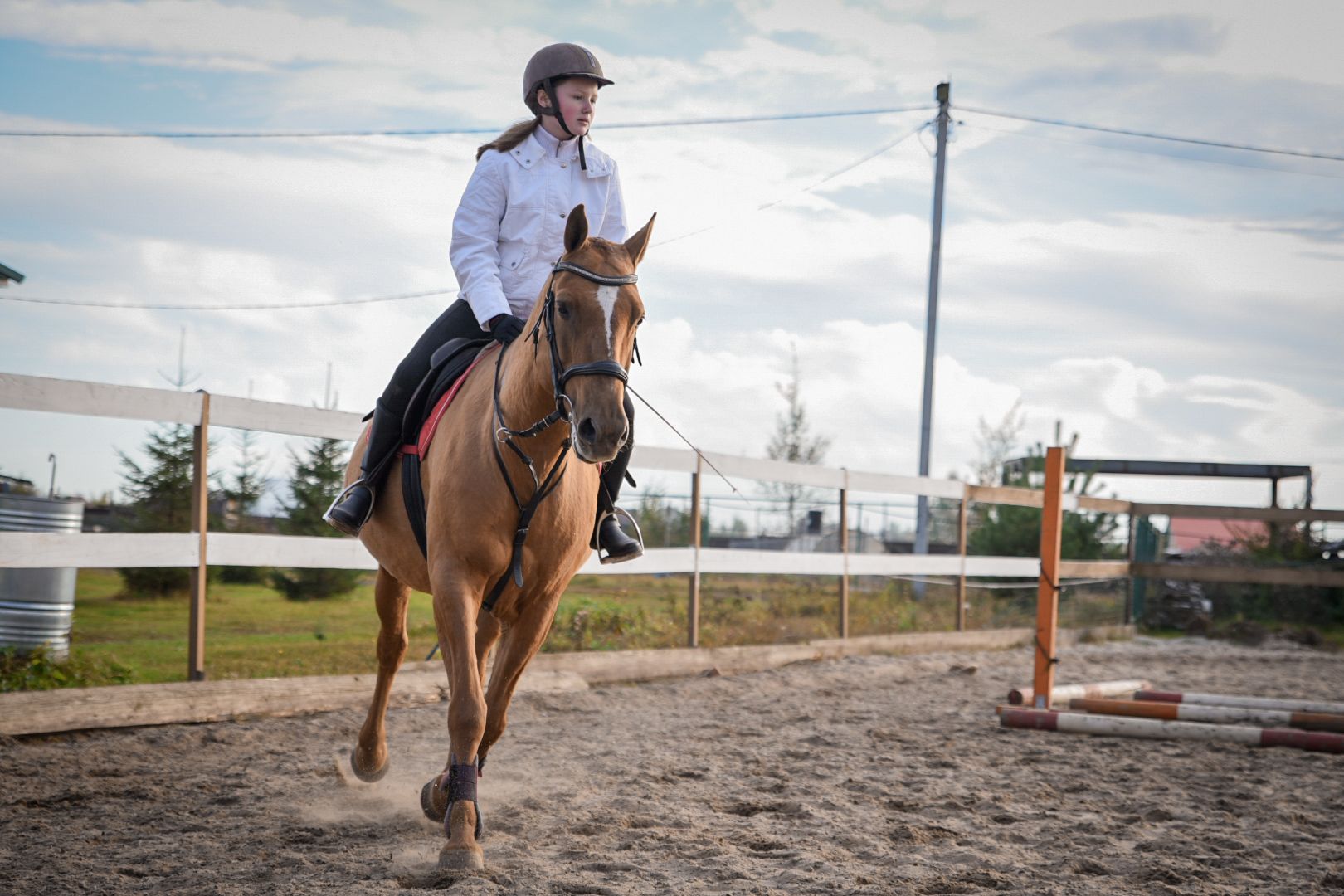 дети, конный клуб салтыково, конные прогулки , катание на лошадях,