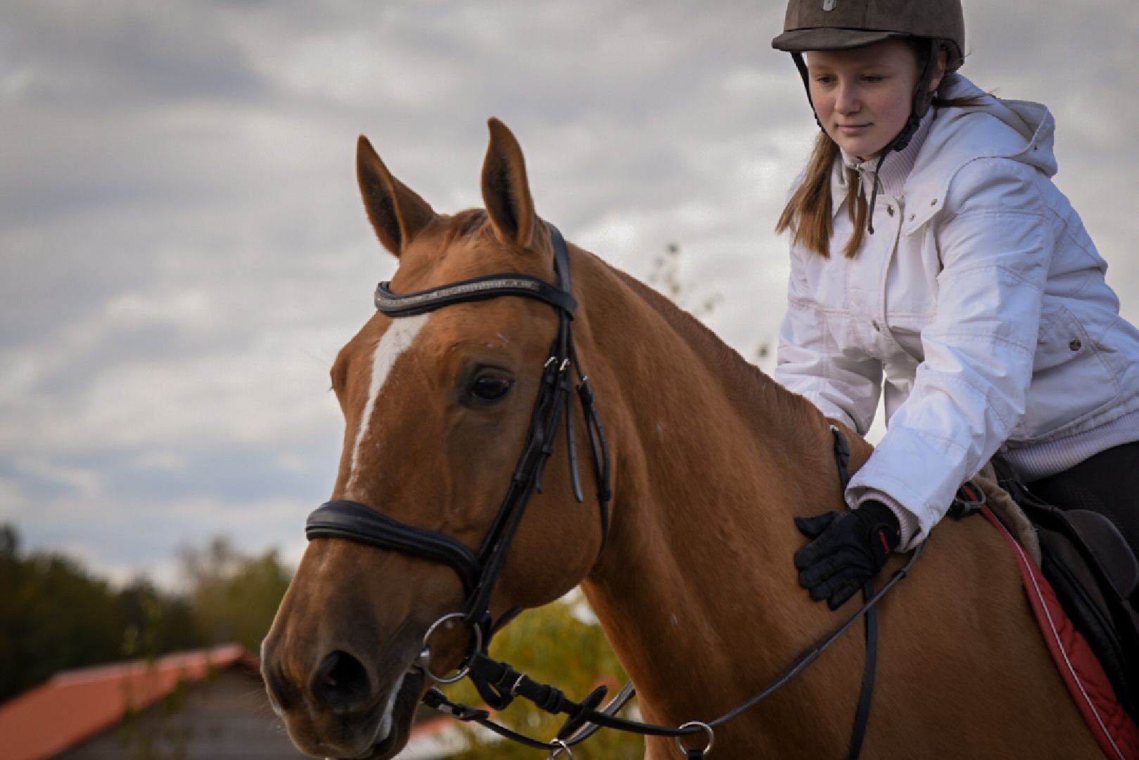 дети, конный клуб салтыково, конные прогулки , катание на лошадях,