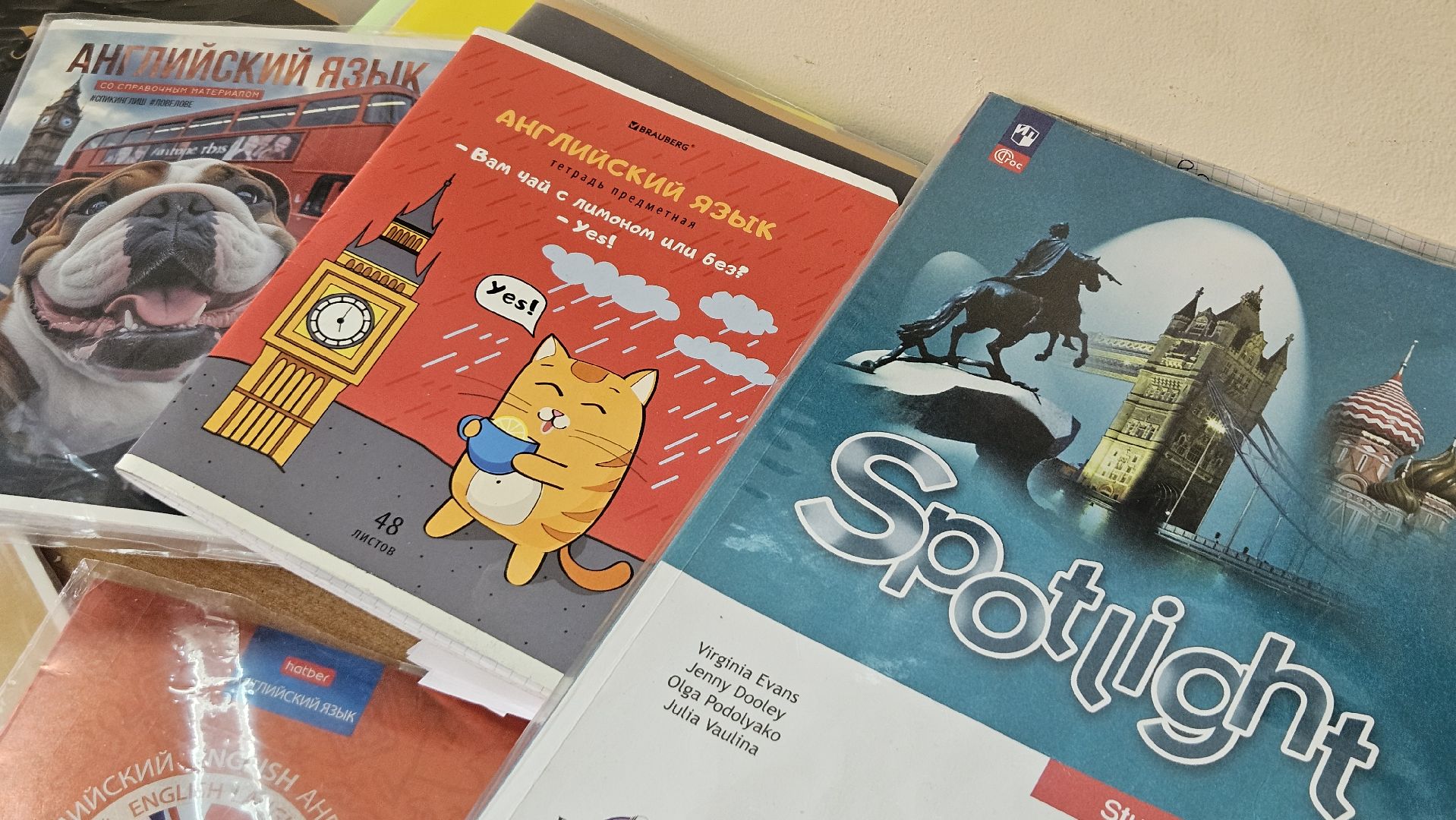 долгопрудный, школа 14, молодой педагог, молодой учитель,