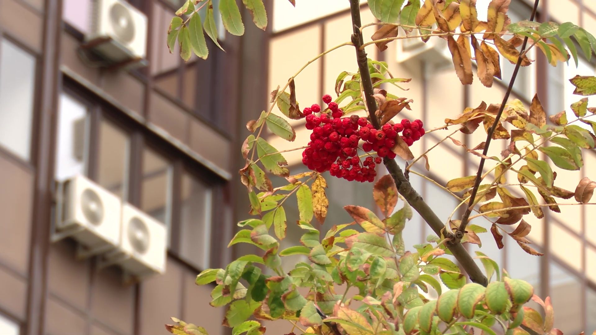 Реутов, ЖКХ, отопление, восстановительные работы,