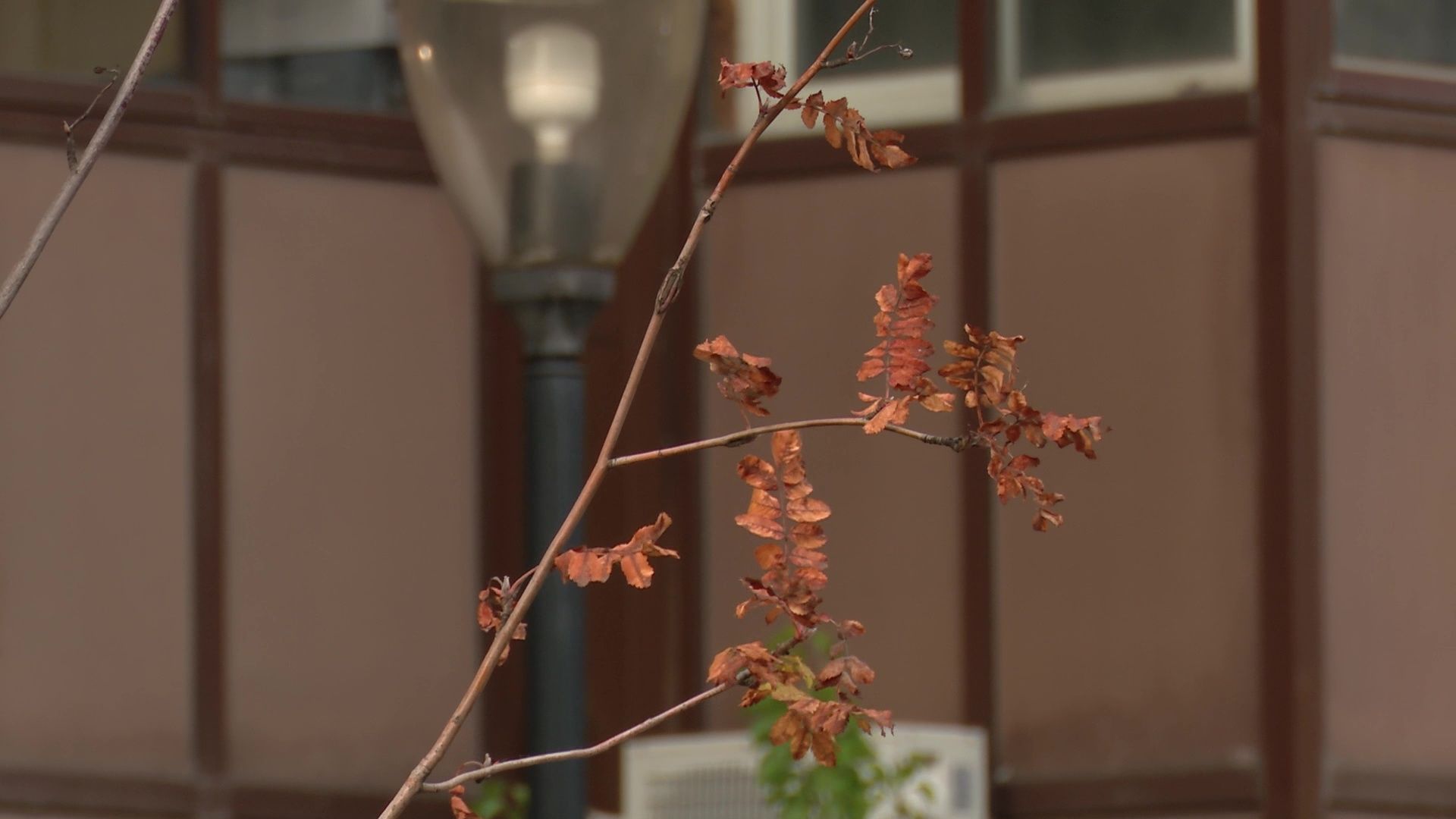 Реутов, ЖКХ, отопление, восстановительные работы,