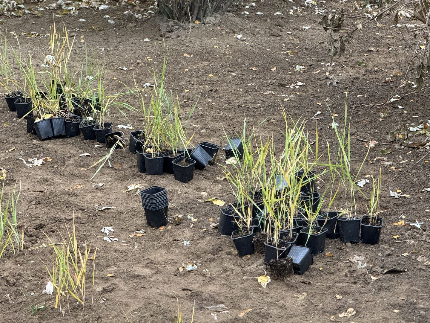 благоустройство 2025, сквер , ленинский городской округ,