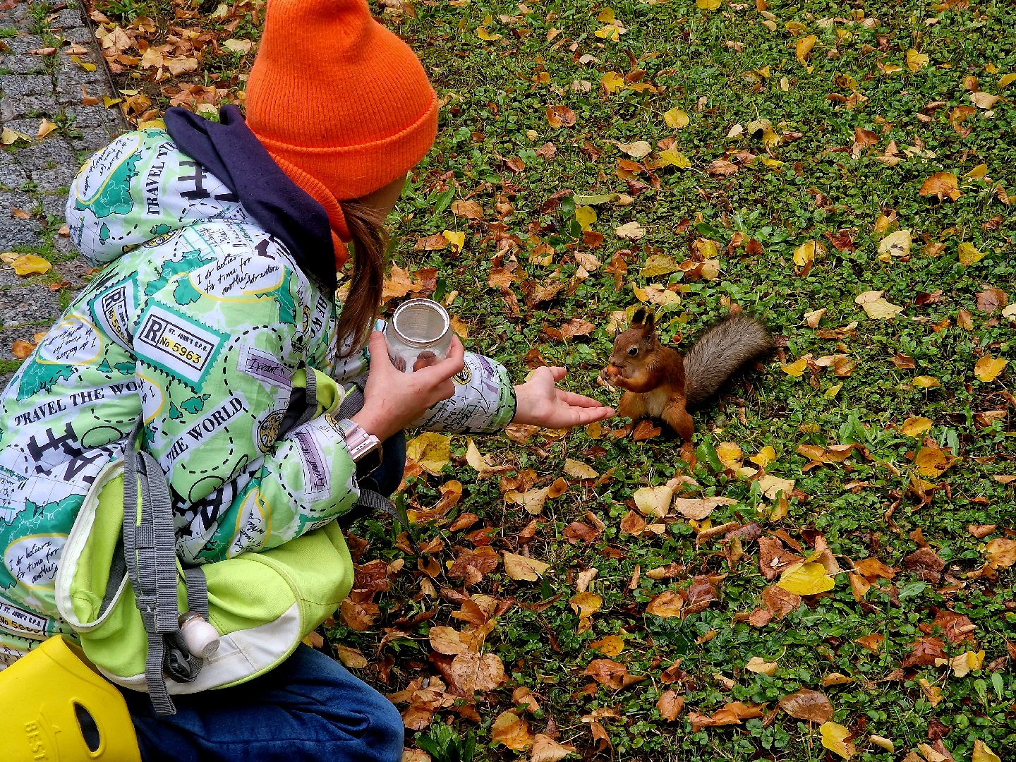 воскресенск, кривякино, осенние каникулы,