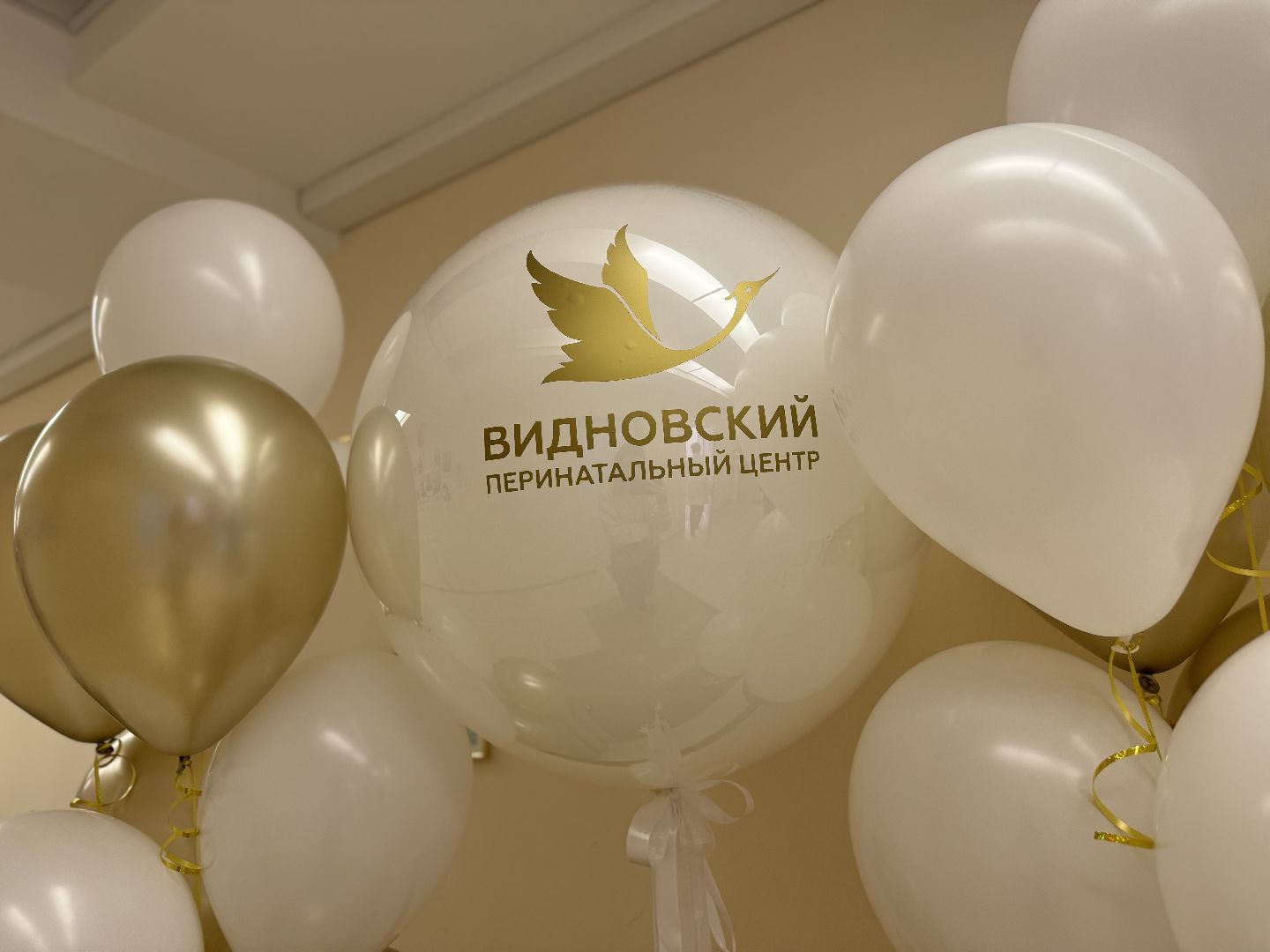 видновский перинатальный центр, день открытых дверей, ленинский городской округ, день беременных ,